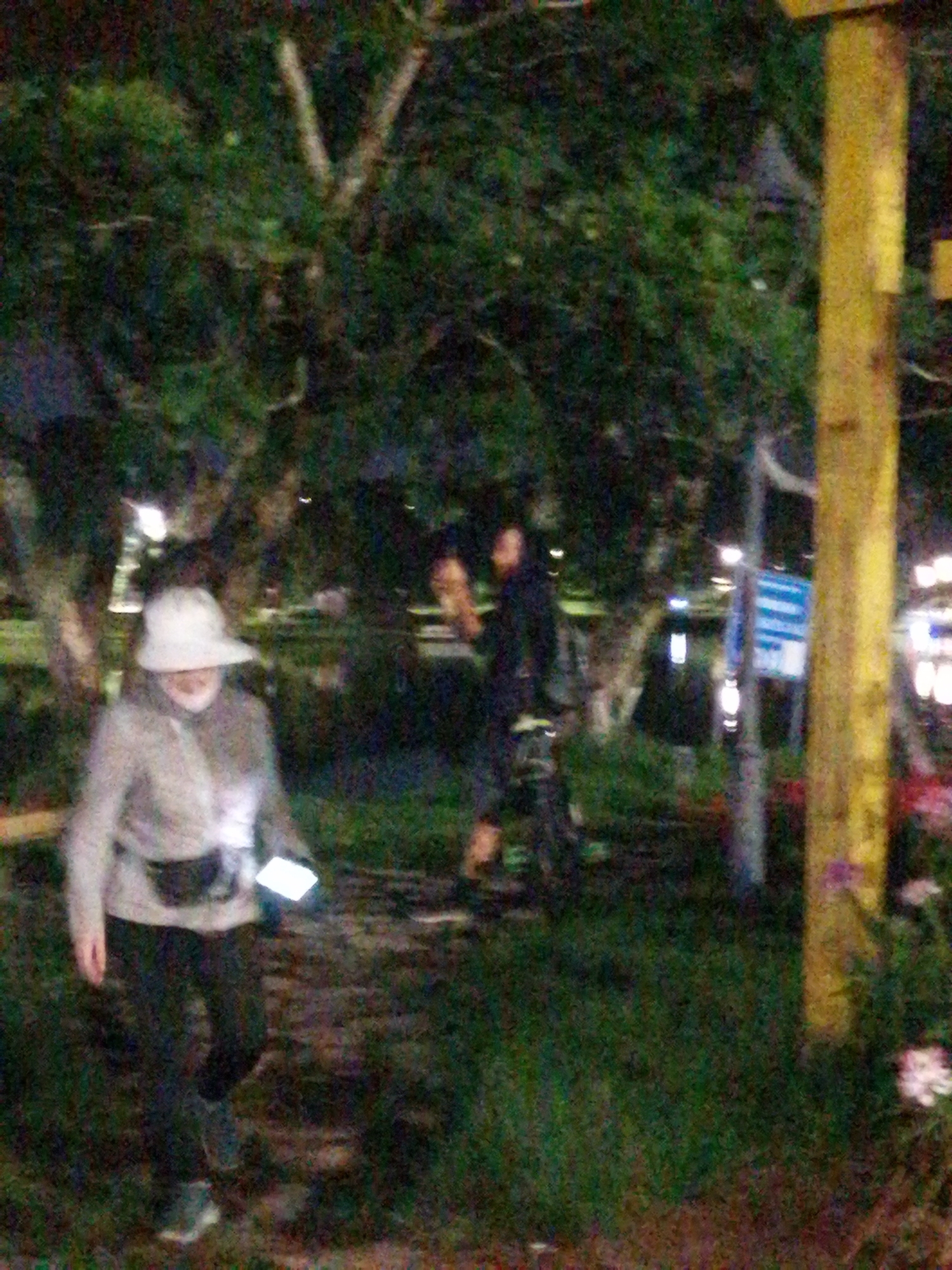 At night in what appears to be a public park in Da Lat, Vietnam, an individual wearing a light-colored hat, a grey jacket, dark pants, and sneakers walks across the lawn while looking at a brightly lit mobile phone in their hand. They also wear a dark fanny pack. Further into the image, a person is seated on a bicycle. In the background there are trees, bushes, and what appears to be a blue sign. A yellow wooden post is located on the right side of the image. Flowers grow near the post. The scene is illuminated by several unseen light sources.
