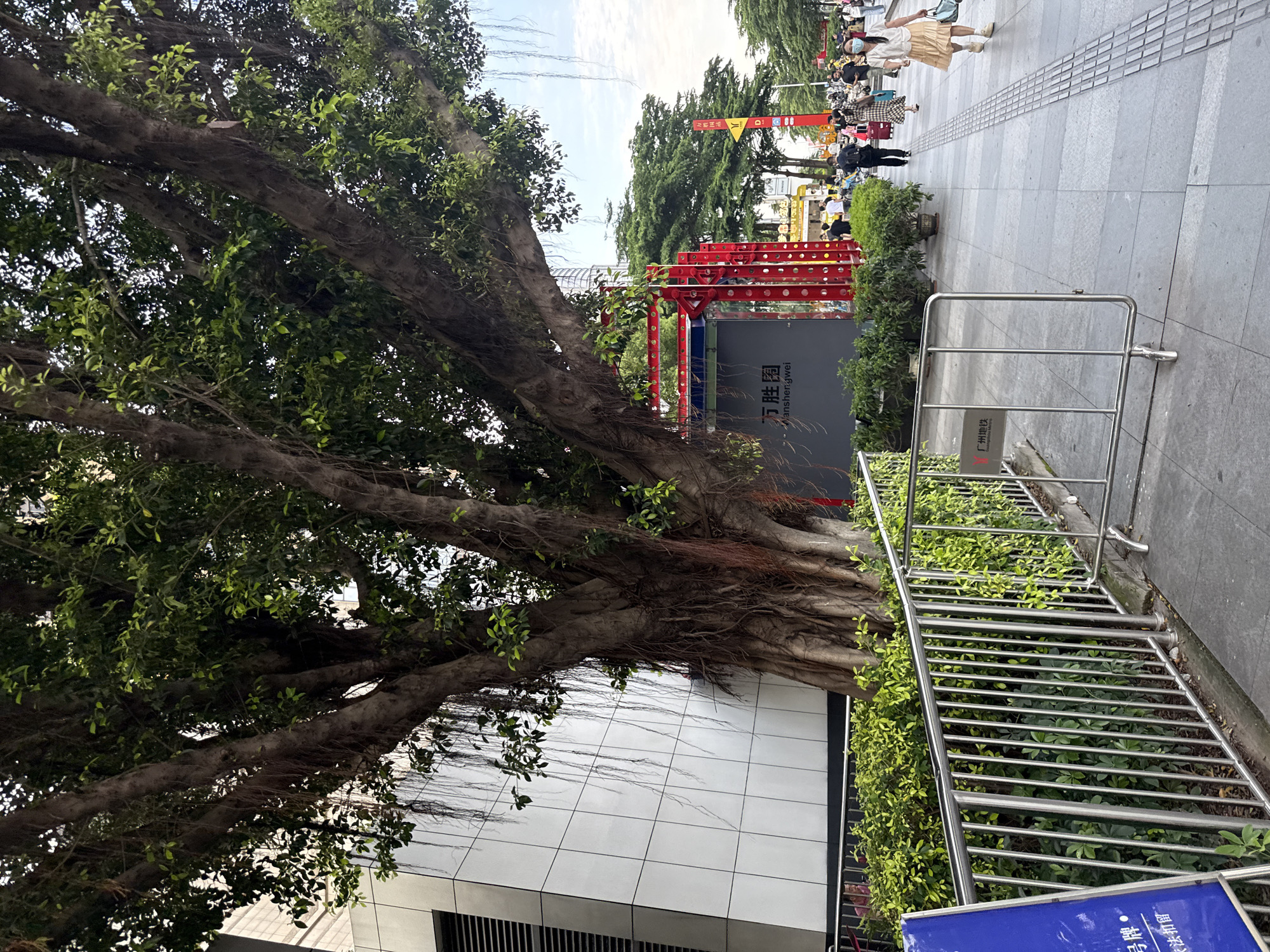 This is a ground-level, eye-level, full shot photograph taken on a city street in Haizhu District, China. In the foreground, a large banyan tree with aerial roots dominates the left side of the frame. A metal fence runs horizontally across the bottom, separating a sidewalk from a strip of green bushes. Beyond the fence and bushes, a modern building with a white tiled facade is visible. To the right of the tree, a sidewalk is paved with gray tiles, and a textured strip runs along the edge. People are walking on the sidewalk; most are in motion. One woman in a white top and beige skirt is walking towards the right side of the frame, carrying a blue bag. Another woman in a plaid dress is further ahead. A red, decorative archway with a large screen displaying Chinese text is present behind the tree and to the right. Various other people, some with luggage, are visible further down the sidewalk, along with more trees and some street vendors. The sky is cloudy.