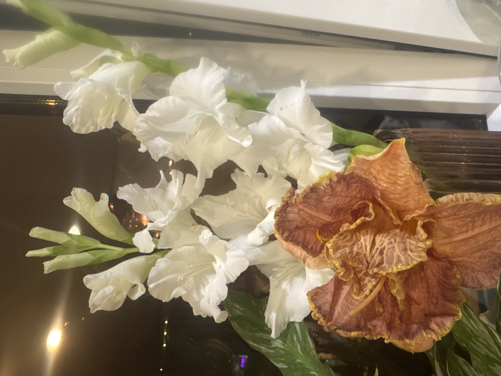 The image shows a floral arrangement featuring several white gladiolus flowers with green stems and buds, as well as a single, dried, reddish-brown flower with yellow accents in the foreground. The arrangement is in a dark, ribbed vase. To the left, a variegated green leaf is partially visible. The background is dark and blurry, with what appear to be out-of-focus lights, suggesting an indoor setting at night. The flowers are positioned near a window with a white frame visible on the right side. There is no indication of the city of Sochi, Russia, within the image itself.