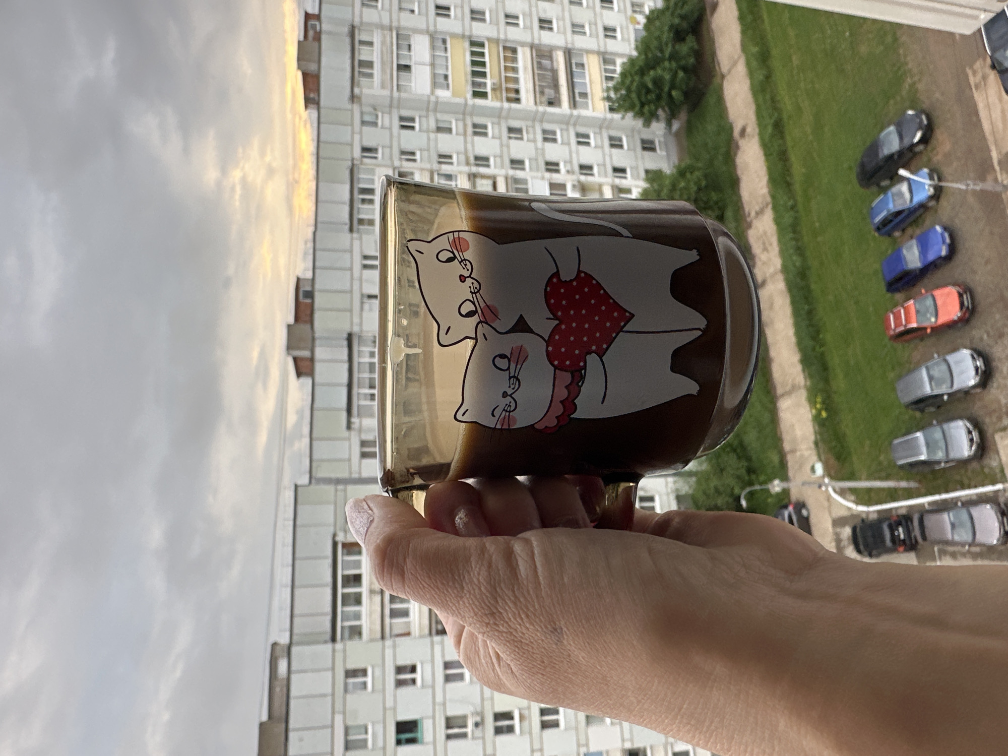 A hand holds a mug with a cartoon cat design in front of a cityscape. The mug appears to contain a dark liquid. Outside, there is a view of a high-rise apartment building with many windows and a courtyard with greenery and parked cars. The sky is overcast. Based on the location provided, this is likely Chaikovsky, Russia.