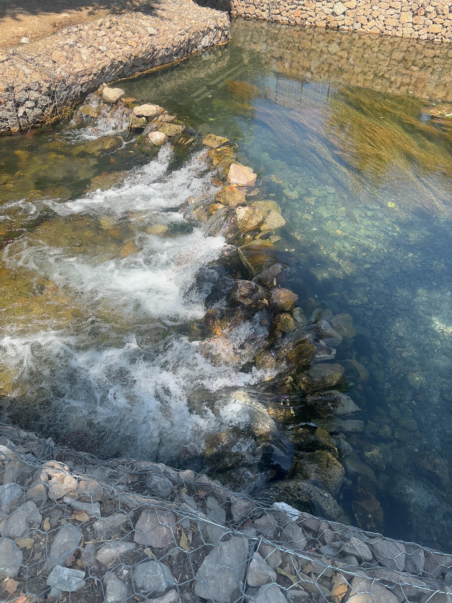 The image depicts a shallow stream or channel with clear water flowing over rocks. The banks of the stream are reinforced with gabion walls, which are wire cages filled with rocks. On the left side of the image, the water cascades over a series of rocks, creating small rapids. The water on the right side is calmer and deeper, revealing the rocky bottom. Aquatic vegetation is visible submerged in the water on the right. The surrounding environment appears to be outdoors, with sunlight reflecting off the water's surface and casting shadows. No people or animals are visible in the image.
This scene is likely located in Shymkent, Kazakhstan, as the gabion walls and the style of the water channel are consistent with some urban landscaping and water management projects found in the city. These types of structures are often used for erosion control and to create aesthetically pleasing water features in parks or along pathways.