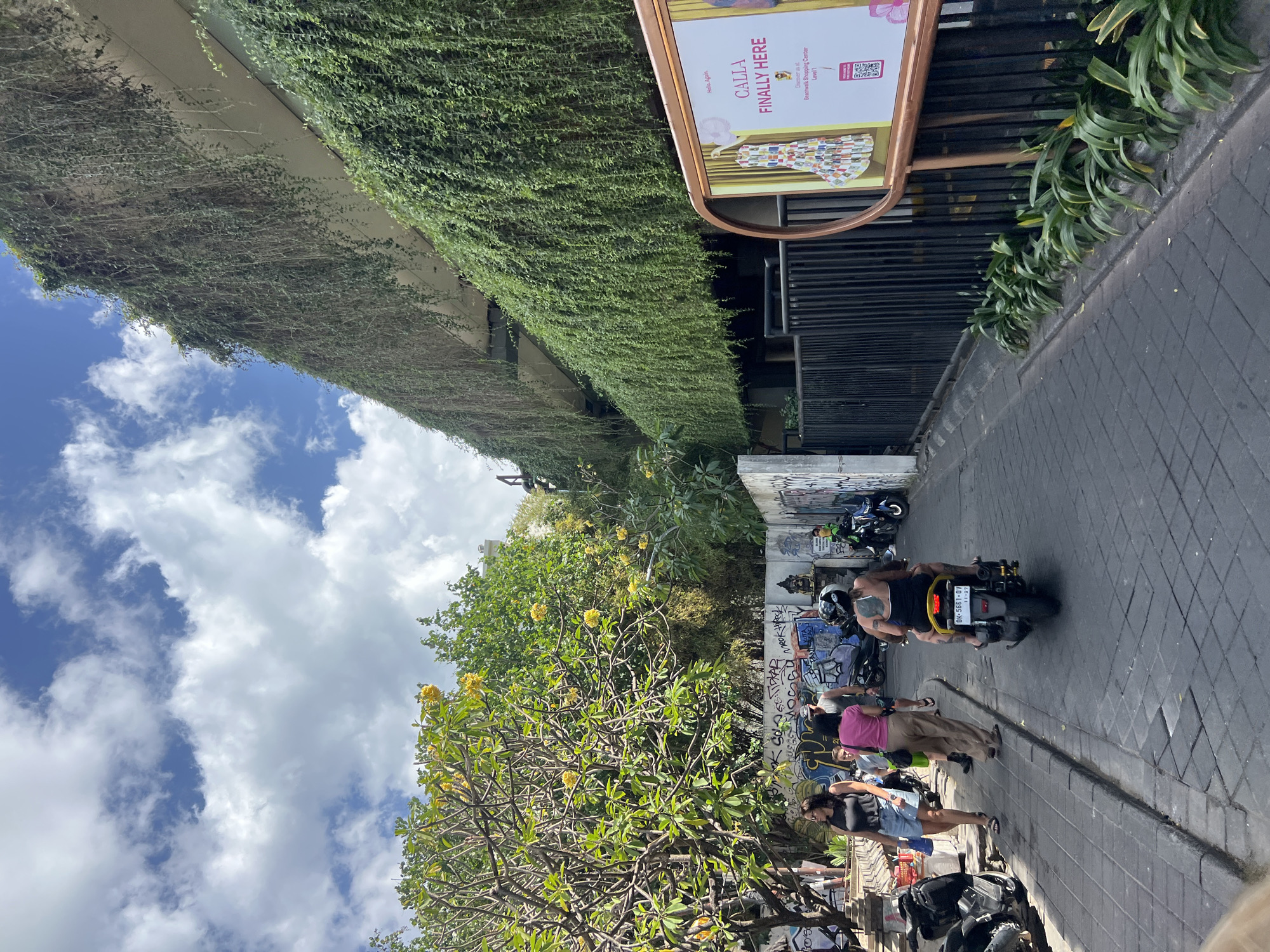 In Kuta, Indonesia, on a sunny day, a narrow street paved with dark cobblestones is bordered by a building draped in lush, hanging greenery and a black metal fence. The building's facade is partially obscured by the dense foliage, creating a natural, vertical garden effect. To the left, a large tree with vibrant yellow flowers and green leaves stands, casting shadows on the street. Graffiti adorns a low concrete wall on the left side of the street.
Several people are present. Two women walk towards the viewer on the left side of the street. One woman, wearing a black tank top and denim shorts, carries a blue bag. The other, in a pink top and brown pants, has a green bag slung over her shoulder. A man is walking behind them.
In the middle of the street, a person wearing a black tank top with a distinctive back tattoo rides a scooter. They are wearing a helmet. Behind this scooter, another scooter is parked. Further down the street, more parked scooters are visible.
A large, framed sign with a copper-colored border is positioned to the right of the fence. The sign features a colorful illustration of a dress and text, including "Hello, Again," "GALLA FINALLY HERE," and "Discover us at Beachwalk Shopping Center Level 1." A QR code is also visible on the sign.
The sky above is a bright blue with scattered white clouds. The overall atmosphere suggests a lively urban environment with a strong presence of natural elements.
