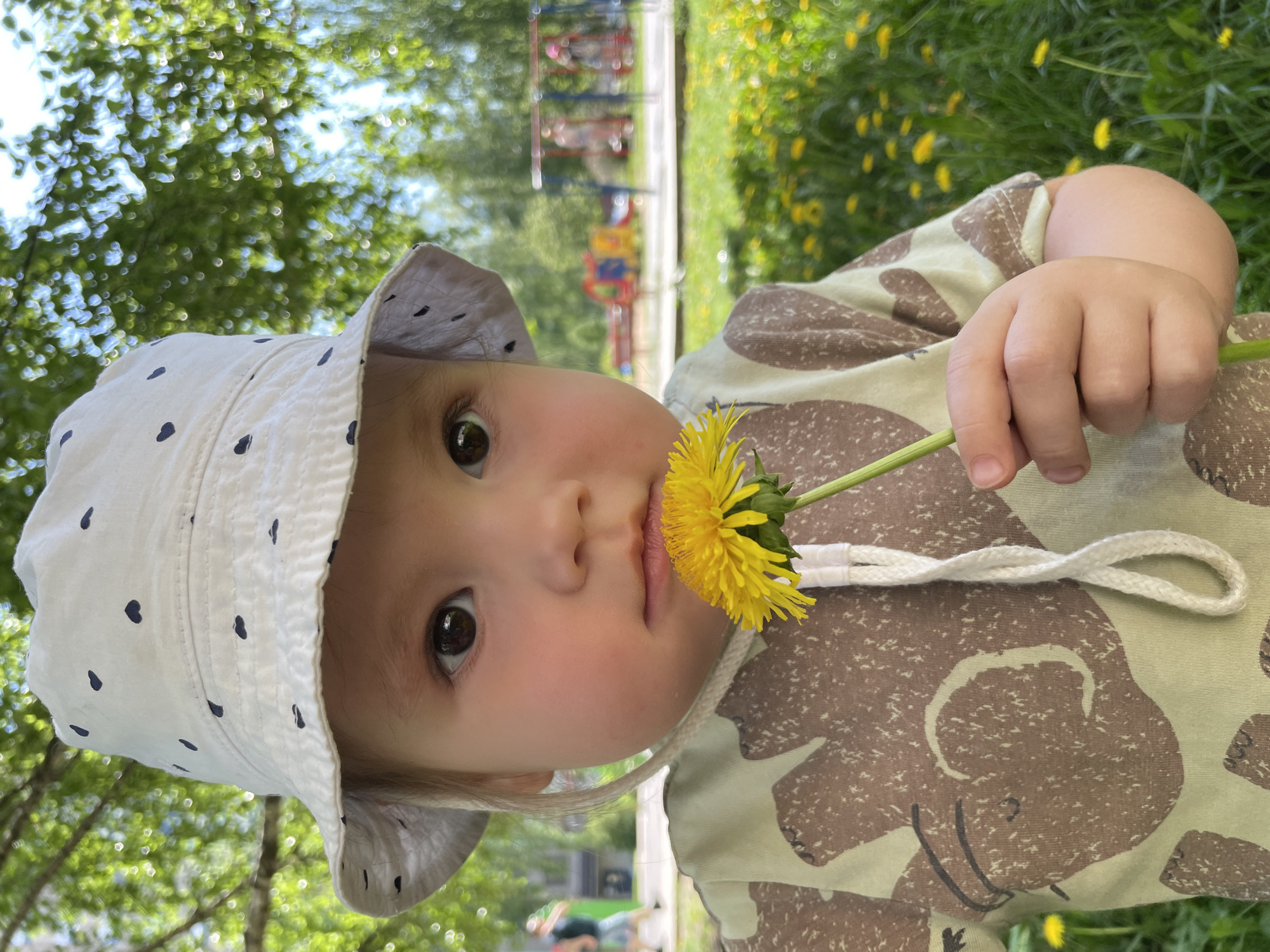 A young child is shown in a close-up, looking directly at the viewer. The child is wearing a white bucket hat with small dark blue polka dots. A dandelion flower is held near the child's face. The child is wearing a patterned shirt with a light green background and large brown elephant-like shapes. The background shows green grass with yellow dandelions and blurry trees, along with a brightly colored playground in the distance. The location appears to be a park or grassy area with recreational equipment. There are no obvious indicators in the image to identify it as Izhevsk, Russia.
