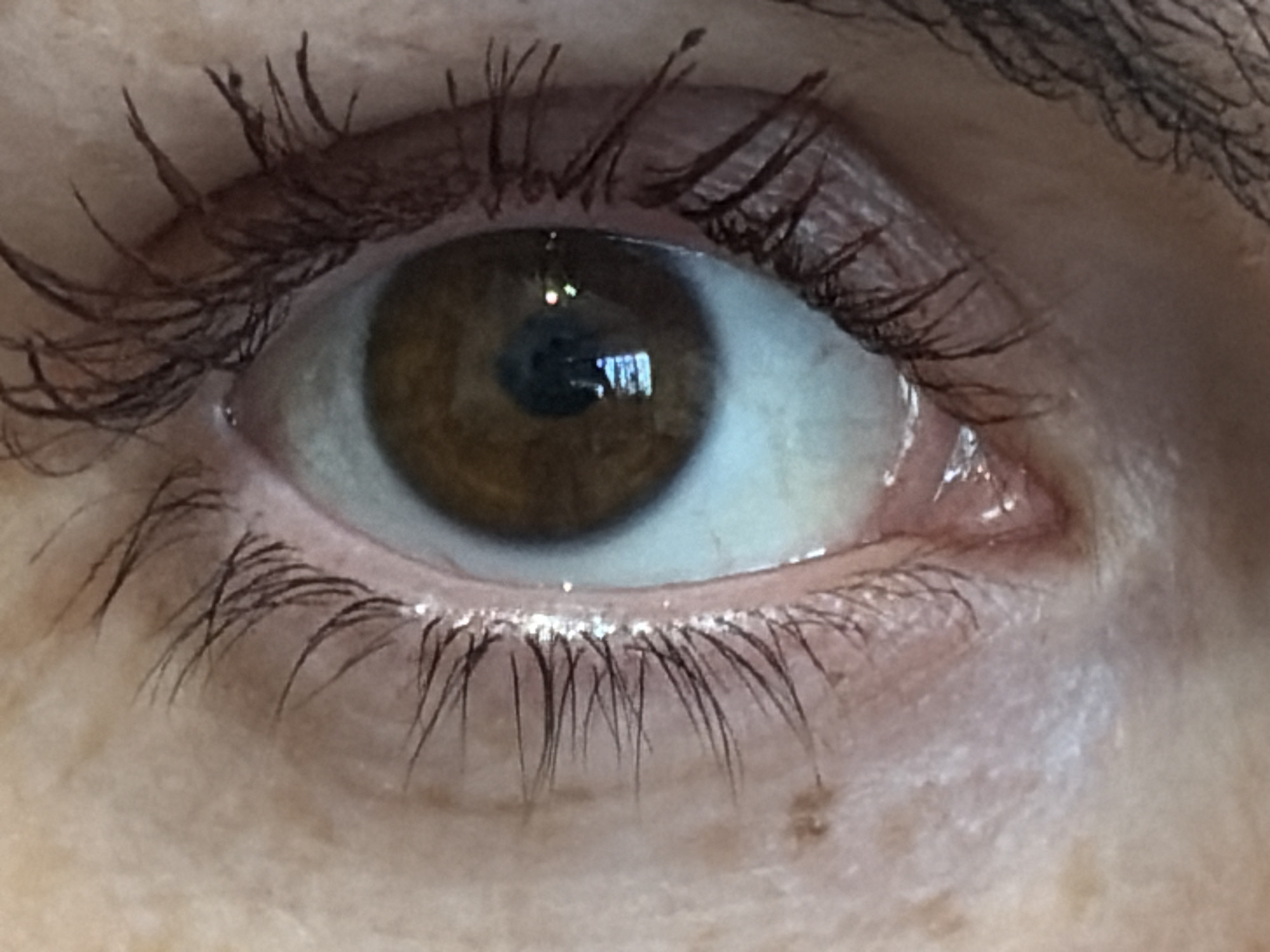 A close-up image of a brown human eye with visible eyelashes and eyebrow. The reflection in the eye indicates an indoor environment, potentially with window light. There's a slight shine or tear near the inner corner of the eye. The eye appears to be in a healthy condition. The image does not show any location in the city of Izhevsk, Russia.