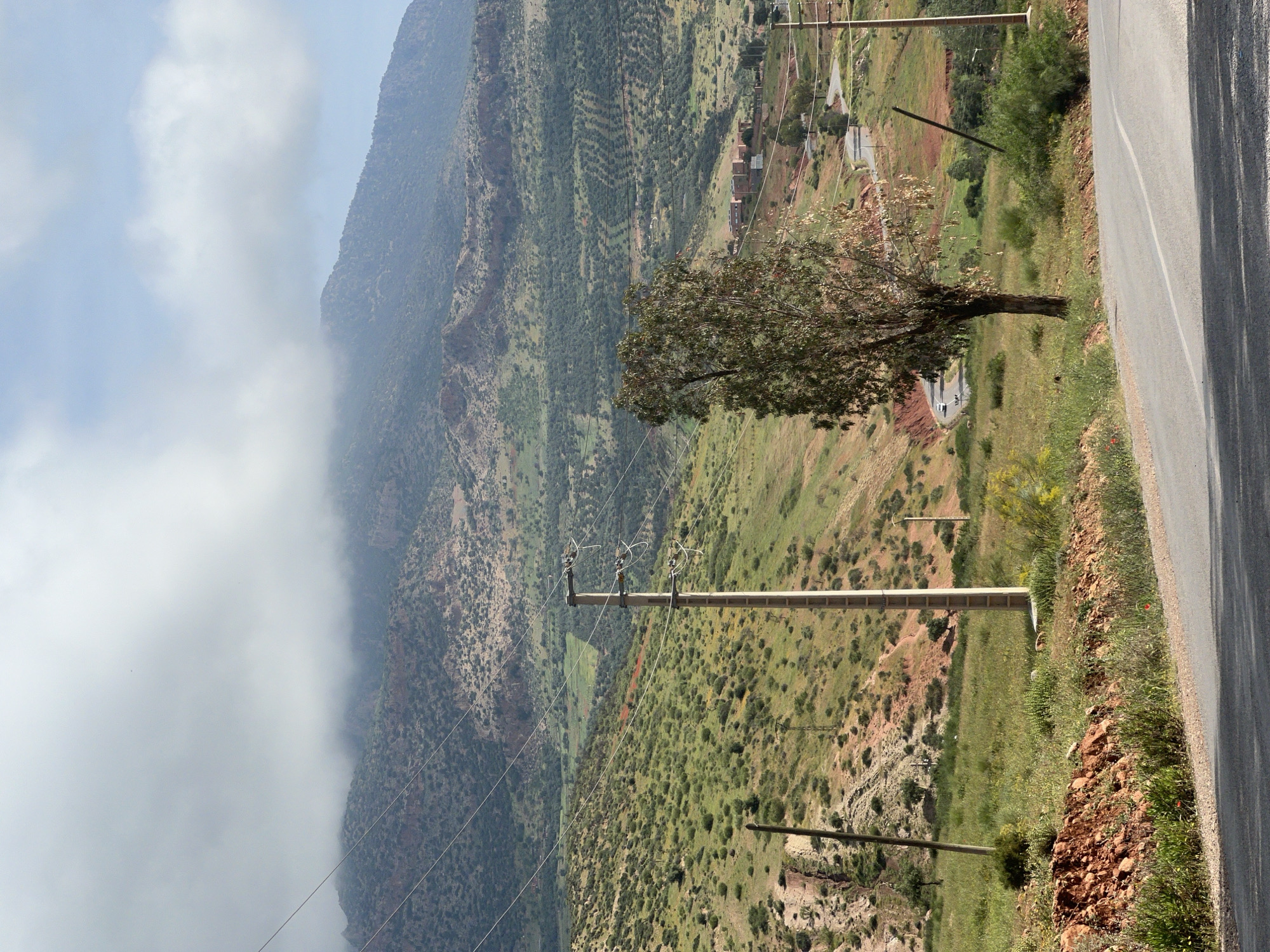 This landscape photograph, taken in the vicinity of Ouaouizert, Morocco, captures a panoramic view of a mountainous region under a partly cloudy sky. The foreground features a paved road with a white dashed line, winding along a steep incline. To the immediate right of the road, the ground is covered in reddish soil and scattered green vegetation, including small bushes and grass. A single, mature tree with a full canopy of green and some autumn-tinged leaves stands prominently near the road, casting a shadow.
Utility poles with multiple power lines stretch across the middle ground, traversing the varied terrain. Beyond the road, the land slopes dramatically into a wide valley, characterized by rolling hills and deep ravines. These slopes are covered in a patchwork of vibrant green vegetation, sparse scrub, and visible patterns of terraced cultivation, indicative of olive groves. A few clusters of small, earth-toned buildings, typical of rural Moroccan architecture, are discernible within the valley.
In the background, majestic mountains dominate the left side of the frame. Their rugged, dark grey and brown slopes are partly shrouded by thick, low-lying clouds or mist, which cling to the peaks and create an atmospheric effect. The sky above is a bright, pale blue with white clouds. The scene conveys a sense of serene natural beauty and the presence of human activity integrated into a challenging but fertile landscape. The time of day appears to be daytime, with clear lighting. No people or visible text are present in the image.