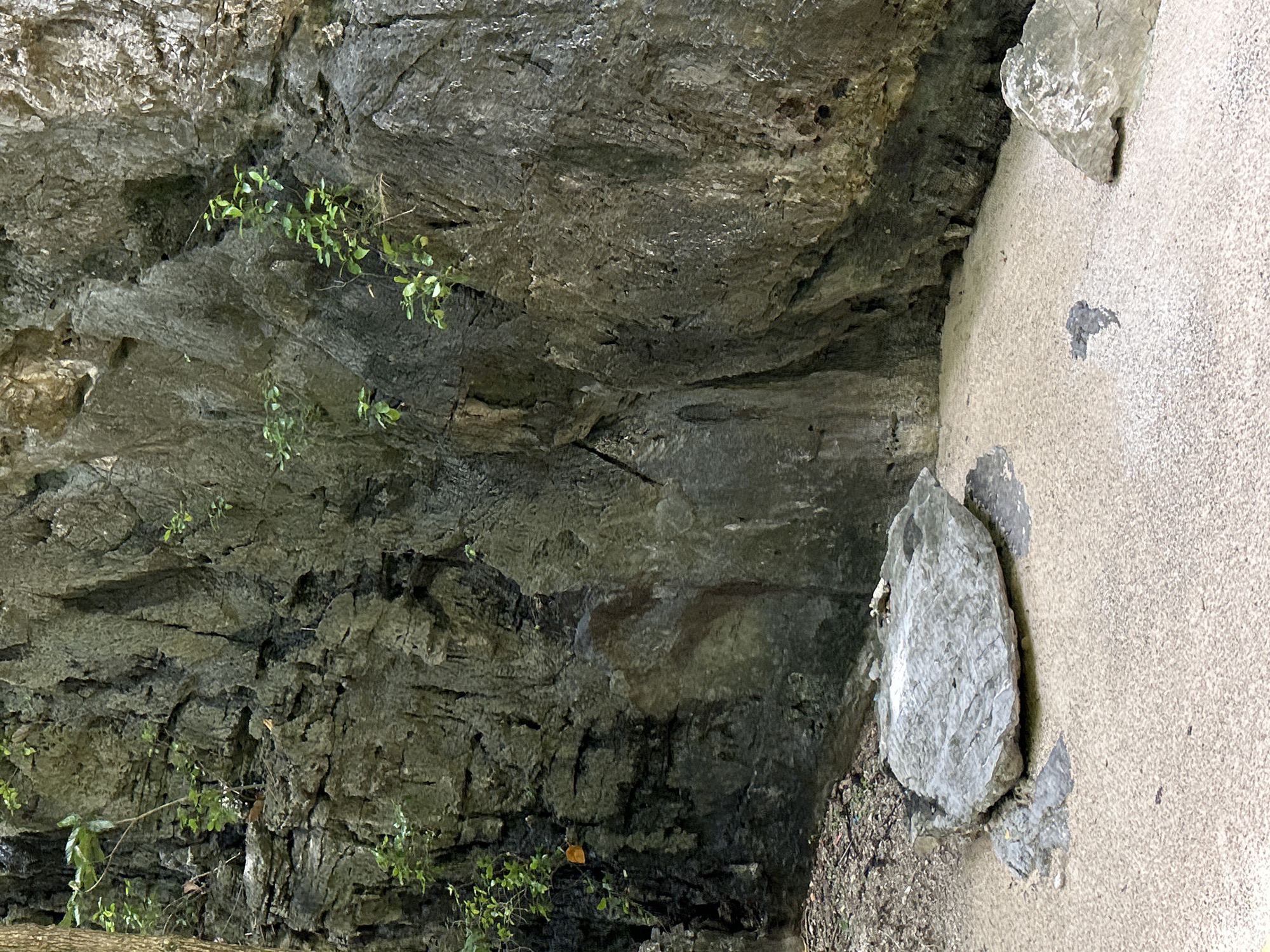 The image depicts a natural rock formation, likely a cave entrance or alcove, in Ao Nang, Thailand. The foreground features a sandy ground with scattered rocks and some greenery. A large, weathered rock rests on the sand near the entrance of the cave. The cave wall itself is rough and textured, with cracks and crevices. Small plants with green leaves are growing from the rock face, suggesting a humid environment. The lighting suggests it might be daytime, with the light casting shadows within the cave. The scene is serene and natural, evoking a sense of tranquility. There is no visible text in the image.
