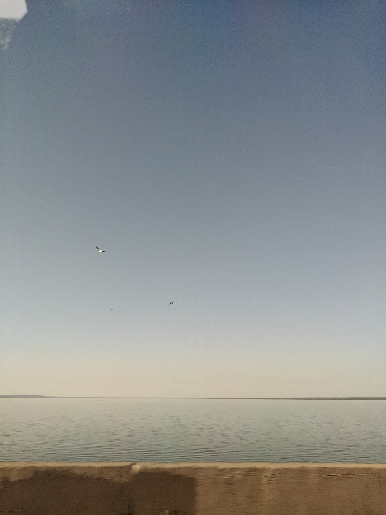 The image depicts a body of water under a hazy sky with a few birds flying above. In the foreground, there is a beige-colored structure with some vegetation peeking out from behind it. The water appears calm with slight ripples. The background shows a distant shoreline with low-lying land. The exact location in the city of Chaikovsky, Russia, cannot be determined from the image alone.