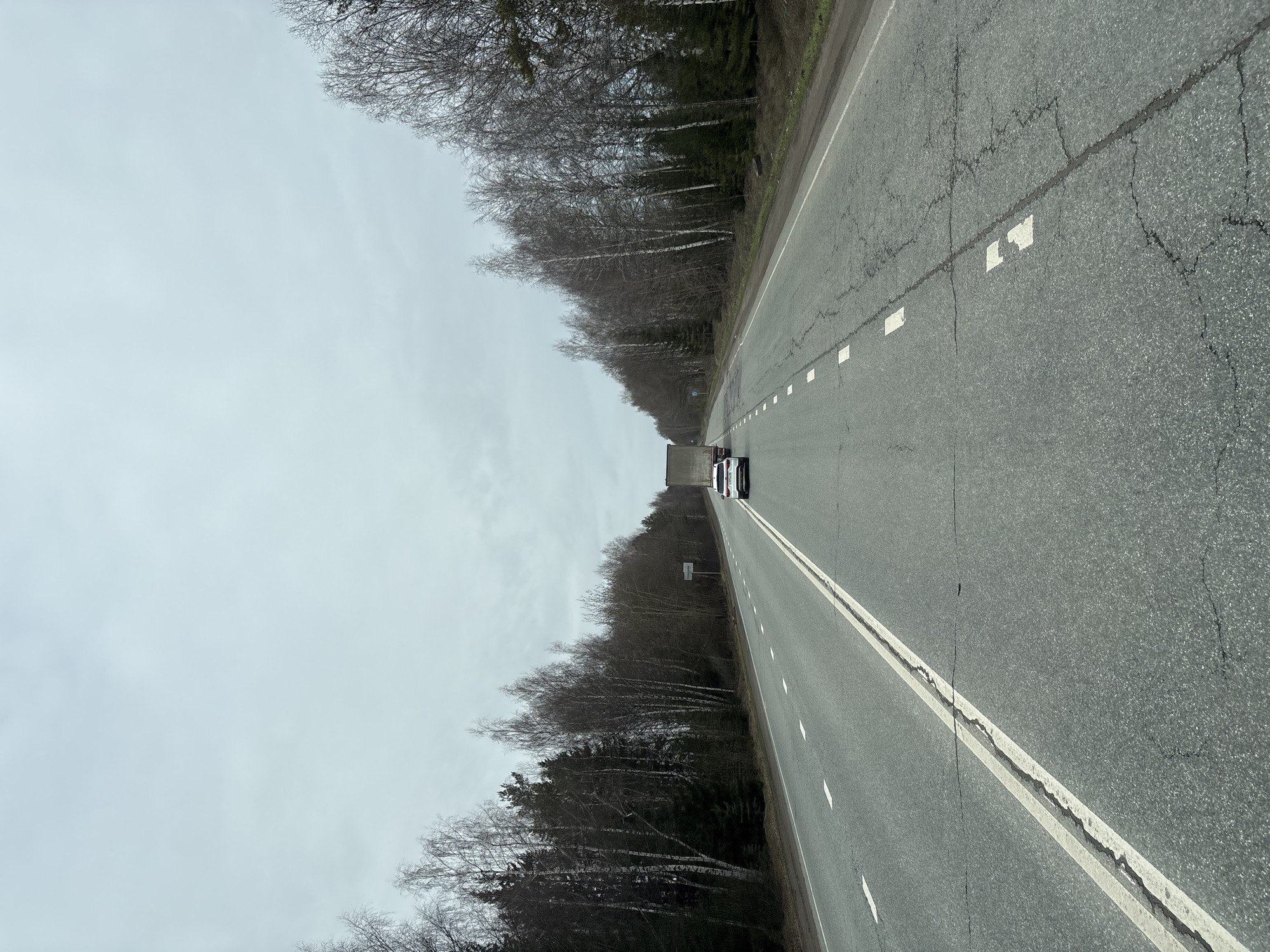 The image shows a straight, cracked asphalt road stretching into the distance, flanked on both sides by dense, leafless trees under an overcast sky. A couple of vehicles are visible on the road in the distance. Road markings, including a solid white line and intermittent white rectangles, are present on the road surface. The location is the city of Kukui, Russia.