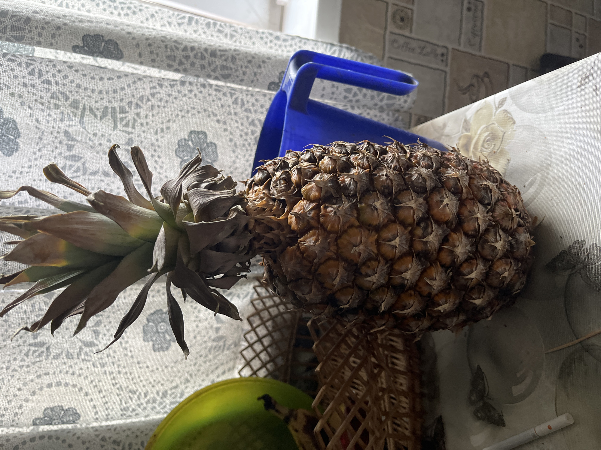 A close-up, eye-level shot displays a whole pineapple as the central subject. The pineapple has a rough, textured brown exterior and a green leafy crown. To the left of the pineapple, a portion of a green fruit, possibly a melon, is visible, partially obscured by a woven basket. In the background, a sheer white curtain with a subtle floral pattern is drawn, allowing natural light to filter through. A bright blue plastic pitcher is positioned behind and to the right of the pineapple. The pineapple rests on a table covered with a patterned tablecloth. A cigarette is also visible on the tablecloth in the lower left corner. The overall scene suggests an indoor setting, likely a kitchen or dining area. No specific location in Minsk, Belarus, can be identified from the provided image.