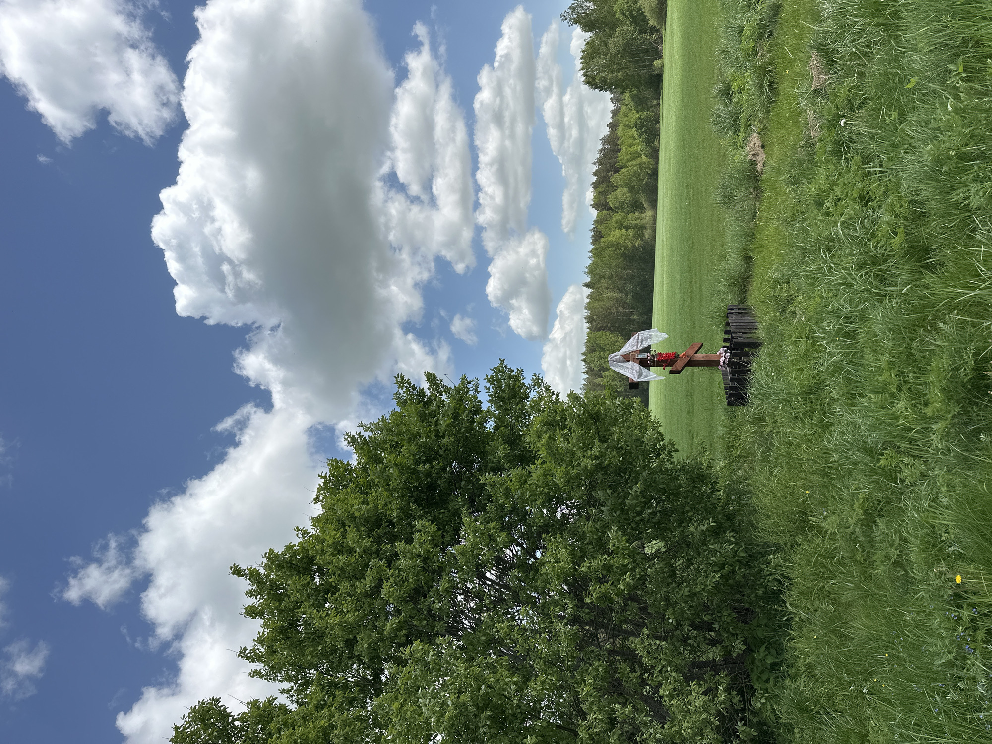 The image shows a rural landscape in Задорʼеўскі сельскі Савет, Belarus. In the foreground, there's a large green tree. Behind the tree is a grassy field with some taller grass closer to the right side of the image. In the middle of the field, slightly off-center, stands a dark wooden structure with a decorative white cloth draped over it and some red flowers. The background consists of a line of trees and a bright blue sky with fluffy white clouds. The image seems to be taken on a sunny day.