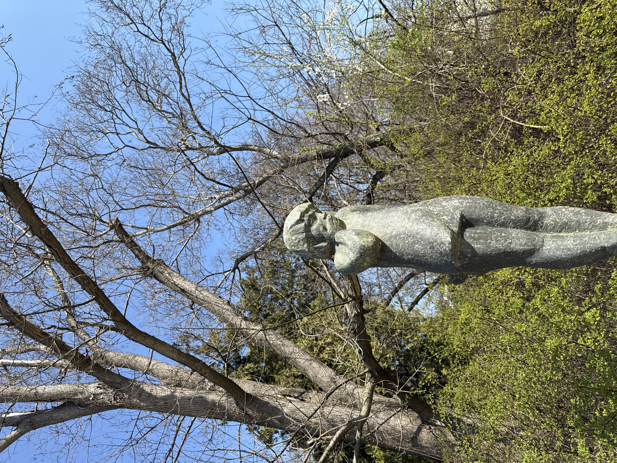 The image features a bronze sculpture of a reclining nude female figure, positioned outdoors against a backdrop of trees and a blue sky. The trees include bare branches and green foliage, suggesting a transitional season like spring. The sculpture appears to be part of an outdoor exhibit or park setting. Based on the location, it is likely this sculpture is located in Sea Garden in Varna, Bulgaria, which is known for its outdoor sculptures and greenery. There are no people visible in the image. The focus is on the sculpture and its natural surroundings.