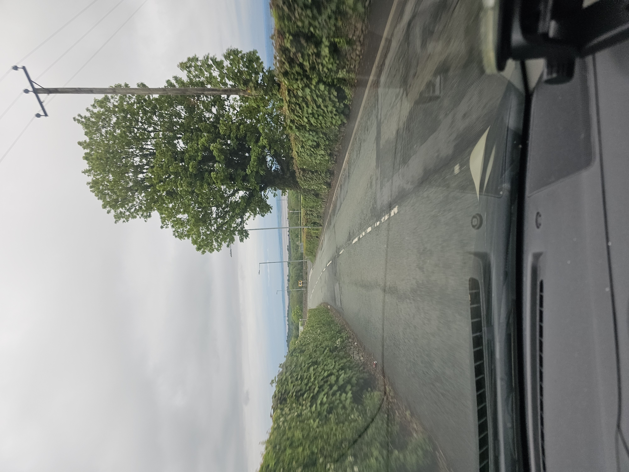The image depicts a view from inside a vehicle, likely a car, traveling on a road. The road is asphalt and has a center line of dashed white markings. The road is lined with green hedges on both sides. A large tree is visible on the left side of the road, with a utility pole located nearby. In the distance, the sea and horizon are visible under a cloudy sky. The location is likely in Halkyn, United Kingdom.