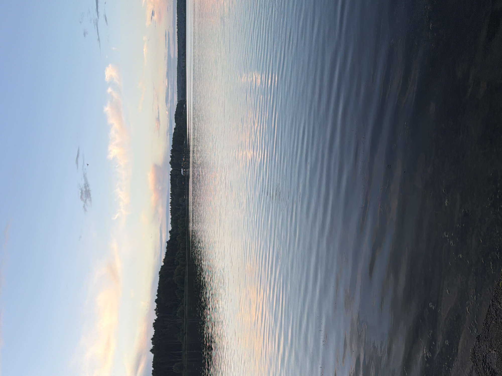 This is a wide-angle landscape photograph of a serene lake at dusk. The sky is a soft gradient of pale blue, transitioning to hues of pink and white from scattered clouds. A faint silhouette of a plane is visible in the upper right quadrant of the sky. A dense line of dark green trees forms the distant shoreline, punctuated by a few illuminated structures suggesting a settlement. The lake surface is calm, exhibiting gentle, repeating ripples that reflect the colors of the sky. The foreground shows the dark, murky water near the shore, with some light-colored sediment or debris visible beneath the surface. The overall atmosphere is tranquil and peaceful. The location is identified as Solnechnogorsk, Russia.