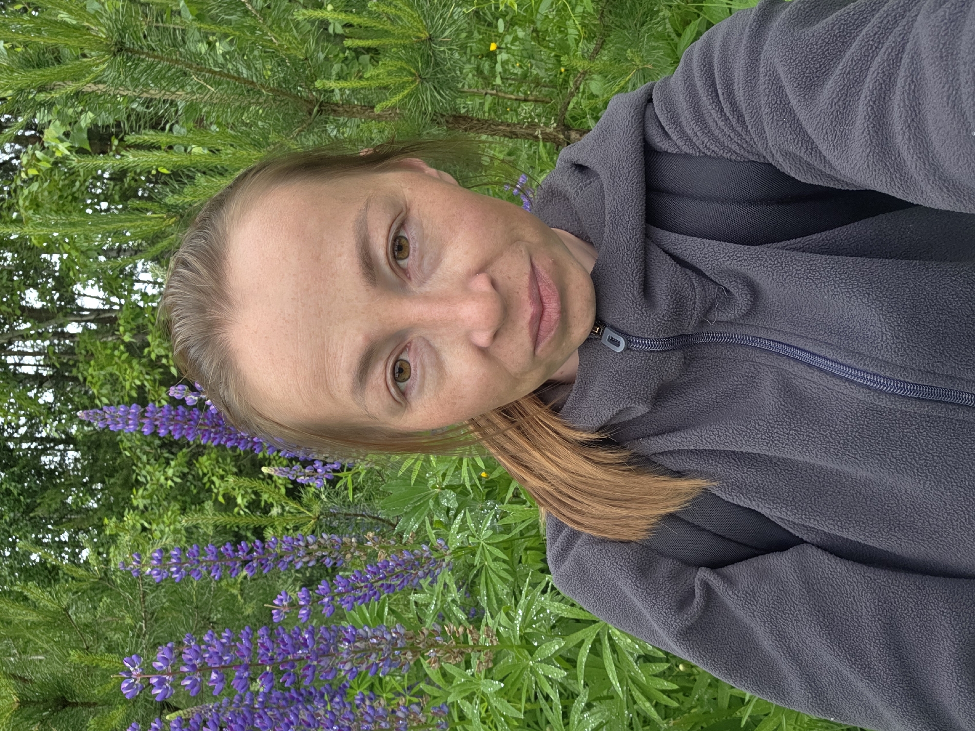 An adult woman is captured in a close-up selfie in an outdoor environment within the city of Chaikovsky, Russia. She has fair skin with visible freckles, brown eyes, and light brown hair styled in a ponytail on her right side. She wears a dark grey fleece jacket with a blue zipper and a grey pull tab. A black backpack strap is visible over her right shoulder. The background is characterized by dense green vegetation, including multiple stalks of purple lupine flowers with visible water droplets on their leaves, suggesting recent rain. Pine trees and other green foliage are present throughout the background.