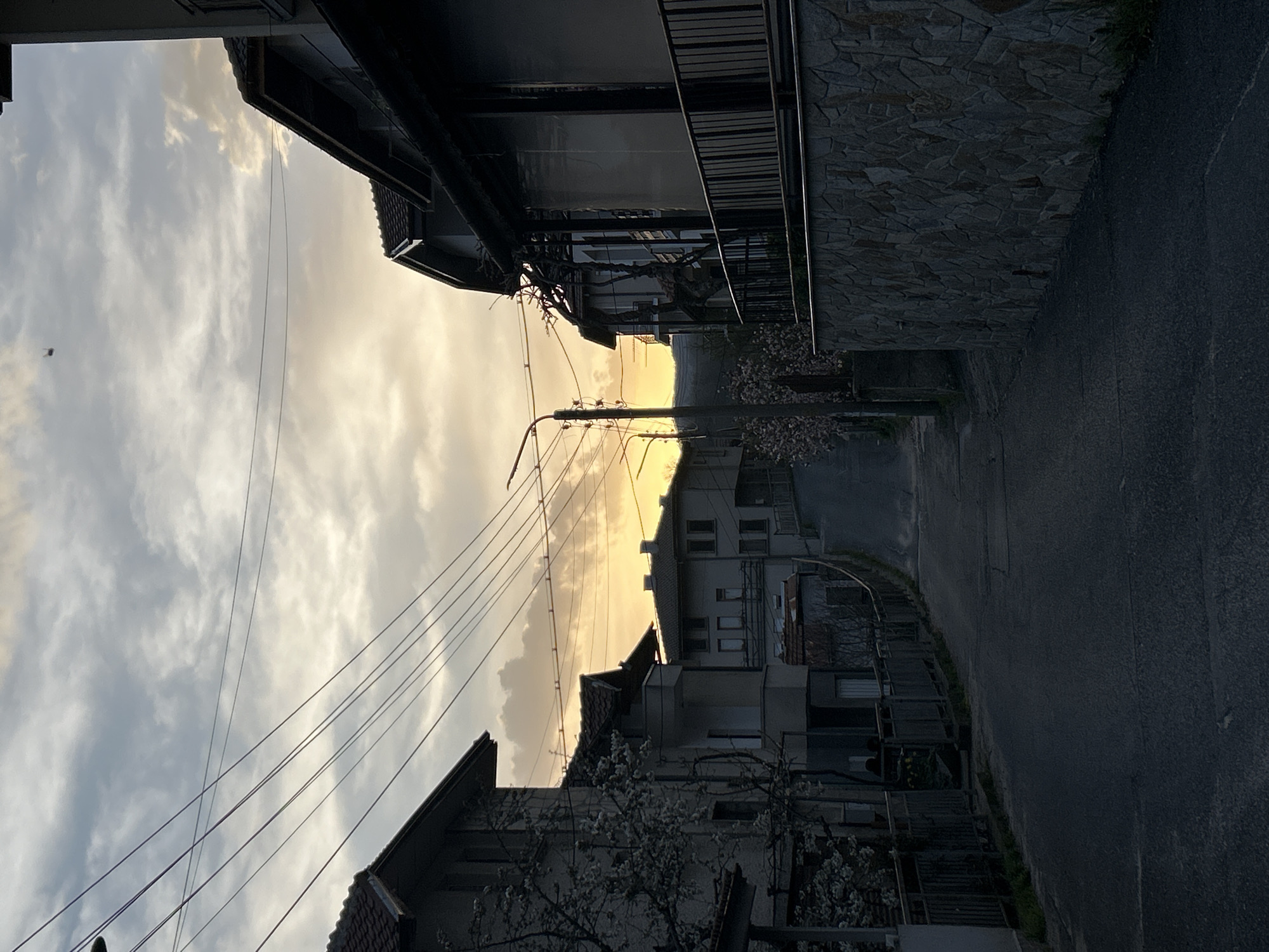 The image captures a street view in Zlatograd, Bulgaria. The street runs between buildings, with power lines crisscrossing the sky above. The setting sun casts a warm glow in the distance, contrasting with the shadows that envelop the buildings on either side. The buildings appear to be residential, with varying architectural styles and construction materials, including stone and concrete. A tree with white blossoms adds a touch of nature to the urban scene. The street itself is paved and appears to be mostly empty, with no visible people or vehicles in the frame.