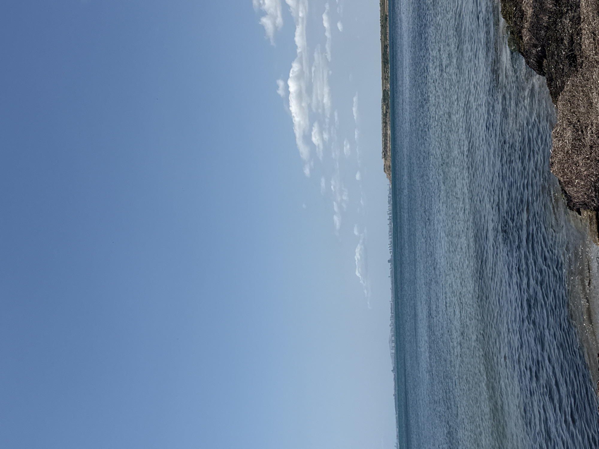 A wide shot captures the calm, blue waters of the Black Sea under a clear, bright sky. In the distance, a sprawling cityscape, likely Pomorie, Bulgaria, is visible along the horizon, its buildings forming a light-colored line against the sea. To the right, a rugged, grassy cliff overlooks the water. The foreground is occupied by a rocky shoreline covered in a dense layer of seaweed, creating a stark contrast with the smooth expanse of the sea and sky. The overall scene is tranquil and depicts a coastal landscape.