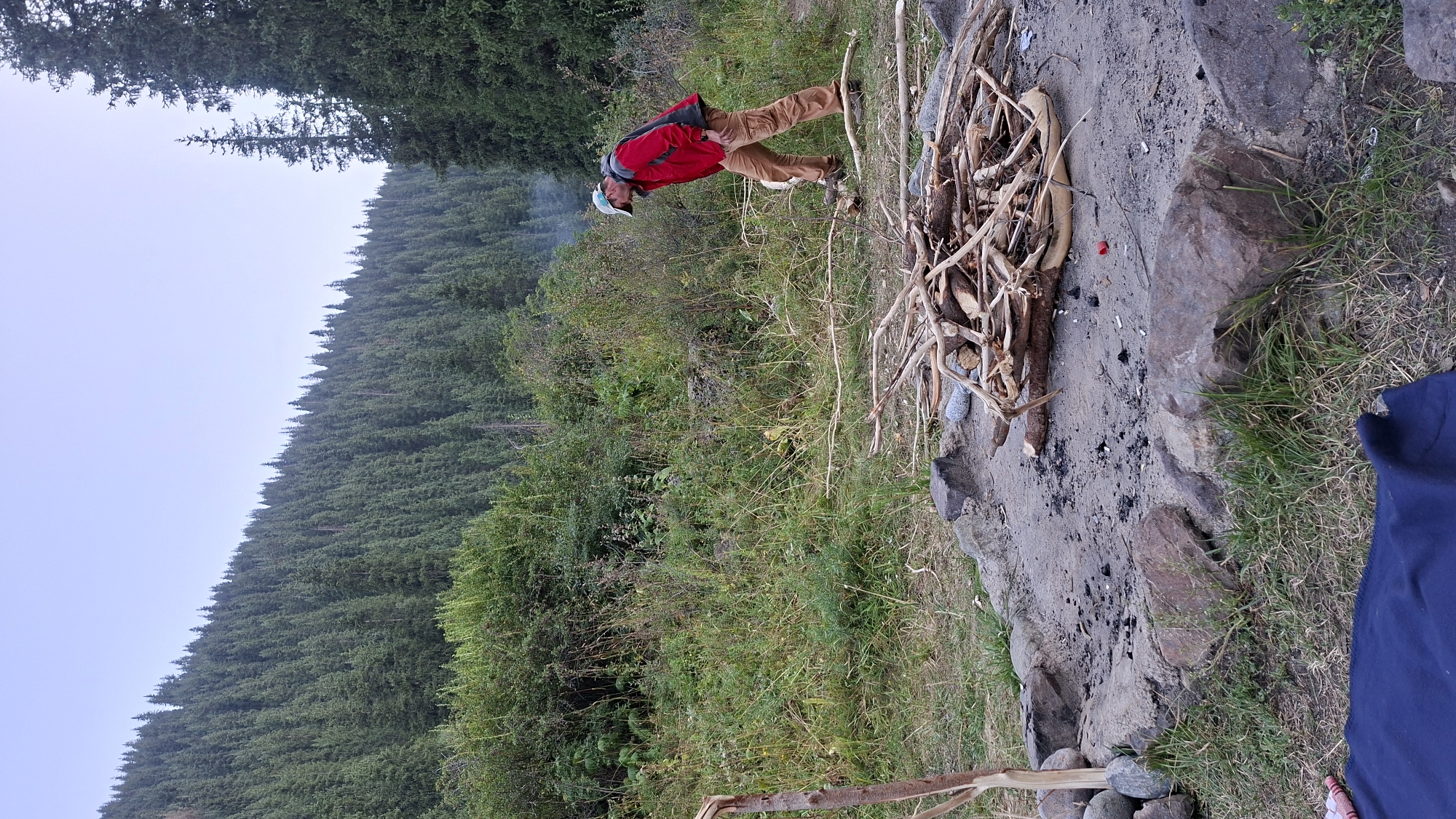 A man wearing a red jacket, tan cargo pants, and a white baseball cap is standing in a grassy area with a pile of firewood next to a fire pit. He is bent over, looking at the firewood. The fire pit is made of stones and filled with ash and debris. Behind the man, a dense forest covers a hillside, with a clear sky overhead. There is no indication that this scene is located in the city of Batan, Kazakhstan; it appears to be a wilderness area.