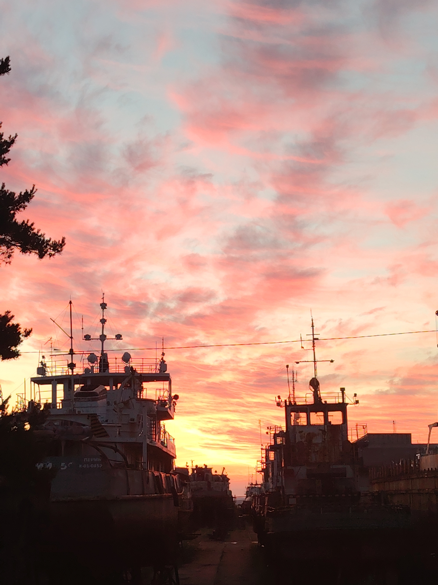 This media file presents a striking sunset scene over what appears to be a ship storage area or a dock in Chaikovsky, Russia. The sky is the dominant feature, filled with vibrant pink and orange clouds that stretch across the frame, gradually transitioning to lighter blue and gray tones at the top. The warm, intense light indicates either sunrise or, more likely, sunset.
Several large, industrial ships are silhouetted against the bright sky, their superstructures, masts, and various antennas clearly visible as dark shapes. These vessels appear to be older, potentially decommissioned, with visible signs of wear and rust on some parts. On the left side, dark, silhouetted branches of a conifer tree partially frame the upper corner of the image. Thin lines, possibly wires or mooring ropes, are stretched across the sky between the ships.
On the bow of the ship situated on the left, Russian text is discernable, reading "ПЕРМЬ" (Perm), which is a common ship name after a Russian city, followed by "К-01-0852," likely an identification or registration number. The lower portion of the image, encompassing the hulls of the ships and the ground or water beneath them, is cast in deep shadow, almost black, creating a strong contrast with the brightly lit sky. No human activity is depicted, contributing to the serene and contemplative atmosphere of the scene.