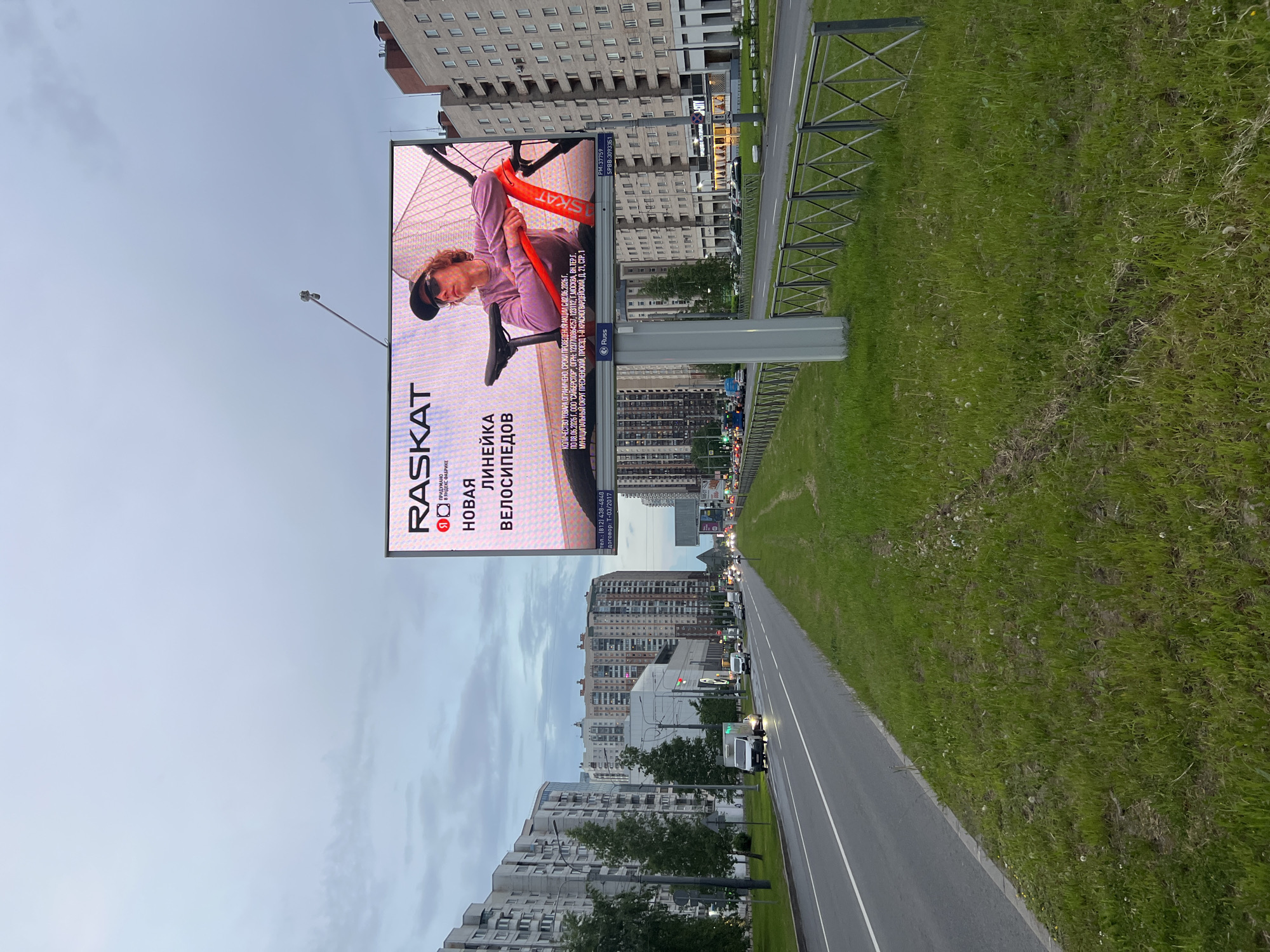 The image depicts an urban street scene in Saint Petersburg, Russia, observed from a low-angle perspective looking down a multi-lane road during what appears to be late afternoon or early evening, under an overcast, light grey-blue sky.
In the foreground and midground, a wide asphalt road, possibly a boulevard, with white lane markings stretches towards the distant horizon, where streetlights are visible. To the left of the road, a narrow strip of grass with several mature deciduous trees separates it from a row of large, multi-story residential apartment buildings, predominantly light-colored. Some vehicles, including a white delivery van with its headlights on, are visible on the road, moving away from the viewer.
Dominating the right side of the midground is a large, freestanding digital billboard, illuminated and displaying an advertisement for "RASKAT" bicycles. The ad features a light-skinned individual with curly hair, wearing sunglasses and a purple long-sleeved shirt, leaning casually on a bright red bicycle. Text on the billboard, primarily in Russian, includes the brand name "RASKAT," the slogan "НОВАЯ ЛИНЕЙКА ВЕЛОСИПЕДОВ" (New Line of Bicycles), and smaller legal disclaimers. Visible details from the fine print include "ПРИДУМАНО В ЯНДЕКС ФАБРИКЕ" (Invented at Yandex Factory), a Saint Petersburg phone number (812 area code), and promotion dates (June 2-8, 2023). The "Russ" logo, indicating an outdoor advertising company, is visible at the base of the billboard's support structure.
A wide grassy median, overgrown with some dandelions and patches of bare soil, separates the road from the billboard and other structures on the right. A low, dark grey metal fence with an "X" pattern runs along a portion of this median. Beyond the billboard and fence, further buildings are visible, including a commercial building with large windows and a sign that partially reads "ГОРОДСКИЕ РЕСТОРАНЫ" (CITY RESTAURANTS). In the distant background, more high-rise residential buildings are scattered across the urban landscape. No pedestrians are visible in the scene; the only human presence is depicted on the billboard.