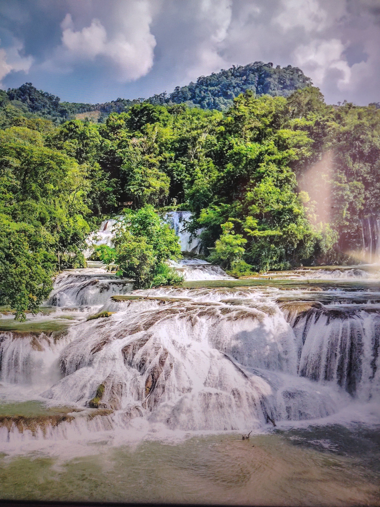 The image depicts the cascading waterfalls of Cascadas de Agua Azul in Chiapas, Mexico. The water flows over a series of limestone terraces, creating numerous smaller waterfalls and pools. Lush, dense tropical vegetation surrounds the falls, covering the hills in the background. The sky above is partially cloudy, with sunlight filtering through.