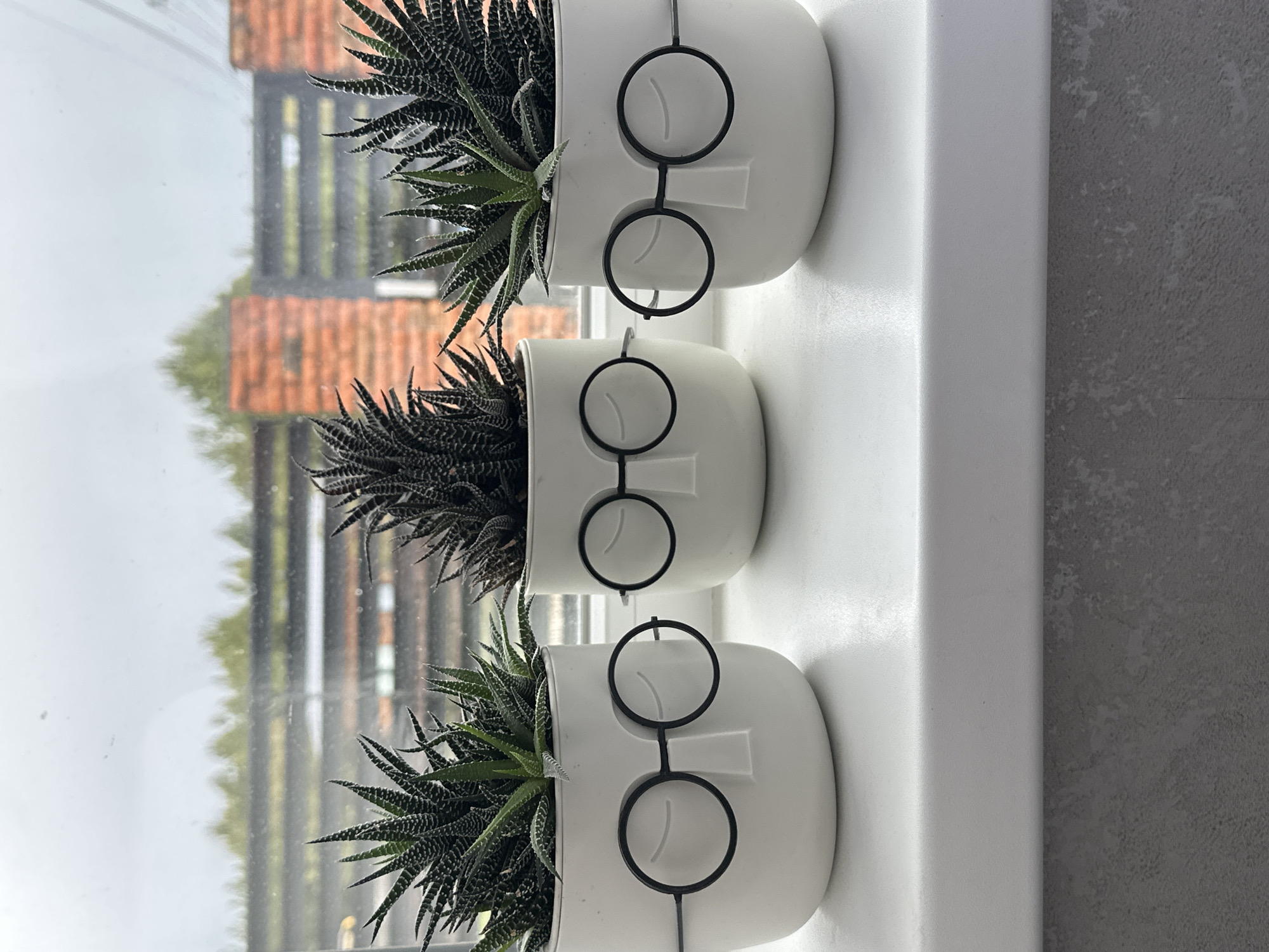 Three white, face-shaped pots containing small succulent plants are aligned vertically on a white windowsill. Each pot has wire-frame glasses attached to it, creating a whimsical appearance. The plants have striped, pointed leaves. The windowsill is positioned in front of a window overlooking a cityscape. The view includes building rooftops with orange-red tiles and indistinct shapes behind them, suggesting a rainy or overcast weather condition. The windowsill appears to be adjacent to a gray textured wall. The image does not provide specific evidence to definitively place the scene in Chaikovsky, Russia, though the cityscape and architecture are suggestive of a European urban environment. There are no people visible in the image. The primary action is the placement of the potted plants on the windowsill. The interaction is between the plants, pots, and the urban environment outside the window.