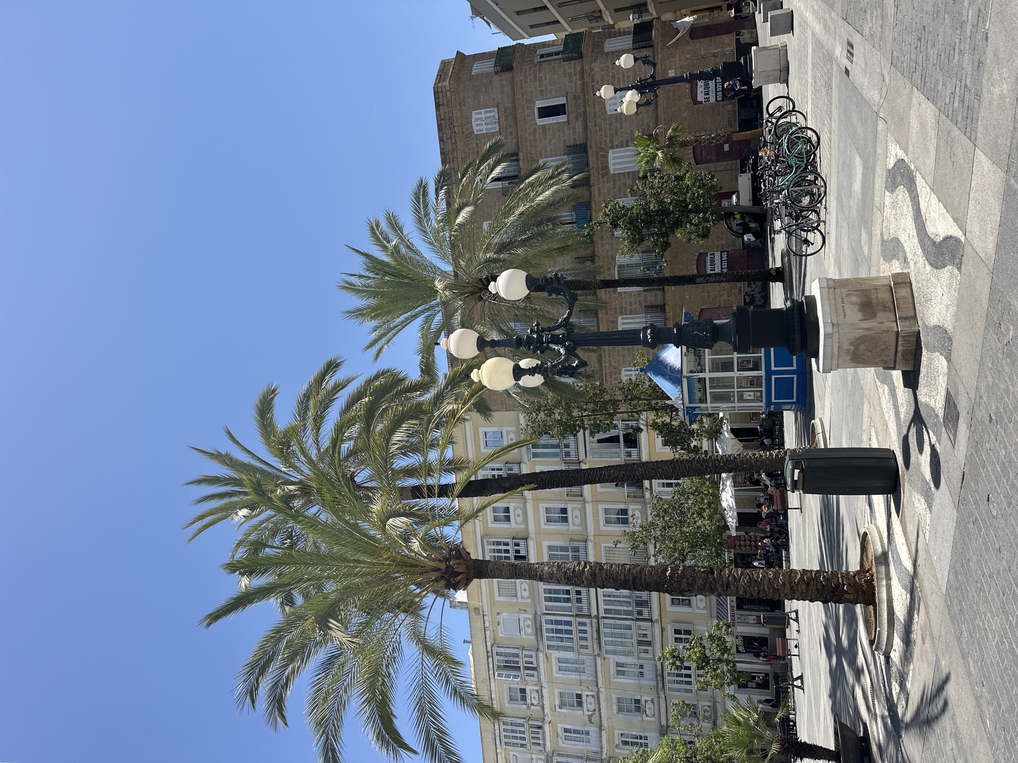 A sunny, clear day unfolds in Plaza de las Flores in Cádiz, Spain. Two prominent palm trees dominate the foreground, their fronds casting dappled shadows on the patterned cobblestone pavement. To the left, a pale yellow building with numerous windows and balconies occupies the middle ground. To the right, a textured stone building with similar architectural features stands adjacent. A cluster of bicycles is parked on the pavement, suggesting a mode of transportation or rental. Several streetlights with multiple globes are visible, enhancing the urban landscape. In the distance, people are seated at outdoor tables under umbrellas, implying a lively cafe or restaurant scene. A small blue and white kiosk is also present, potentially a newsstand or information booth. The overall scene captures a typical urban square in Cádiz, bathed in bright sunlight.