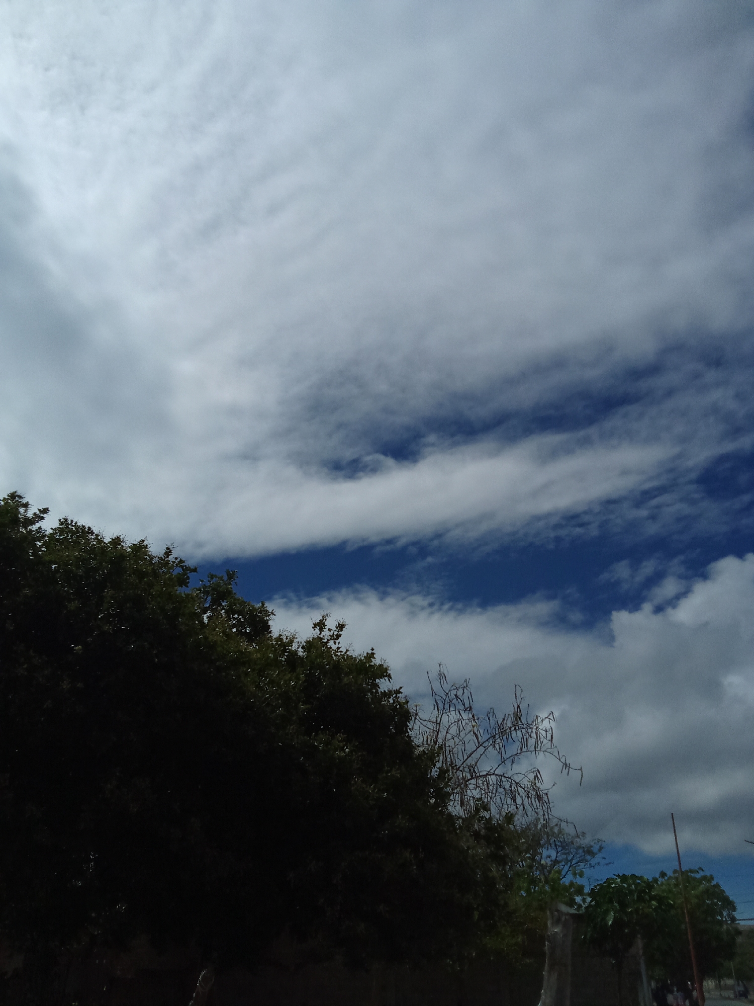 The image shows a view of the sky over what appears to be the edge of a developed area, likely in Juan Griego, Venezuela. The sky is partially covered with white, layered clouds, with patches of blue sky visible in between. In the foreground, there are trees and foliage, mostly dark and silhouetted, suggesting they are in shadow. A single pole is visible in the background. The overall lighting indicates that the photograph was taken during daylight.