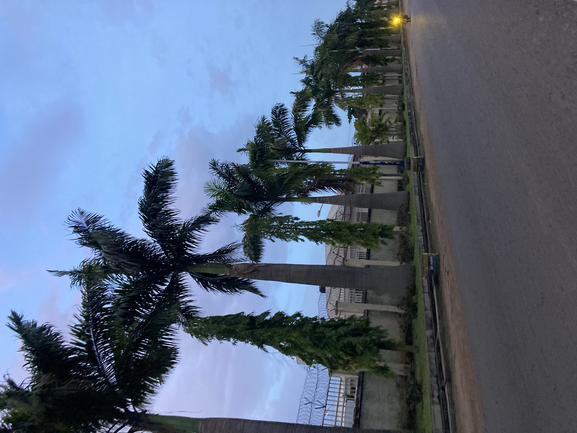 The image depicts a street scene in Jos, Nigeria, lined with several tall palm trees on the left side of the road. The sky is a pale blue with scattered clouds, suggesting either dawn or dusk. A wall topped with barbed wire runs along the property behind the palm trees. A grey asphalt road occupies the foreground and middle ground, with a small area of grass and a drainage ditch along the side. In the distance, a motorcycle with its headlight illuminated is visible, heading away from the viewer. The overall impression is a quiet, possibly residential, street in a tropical or subtropical urban environment.