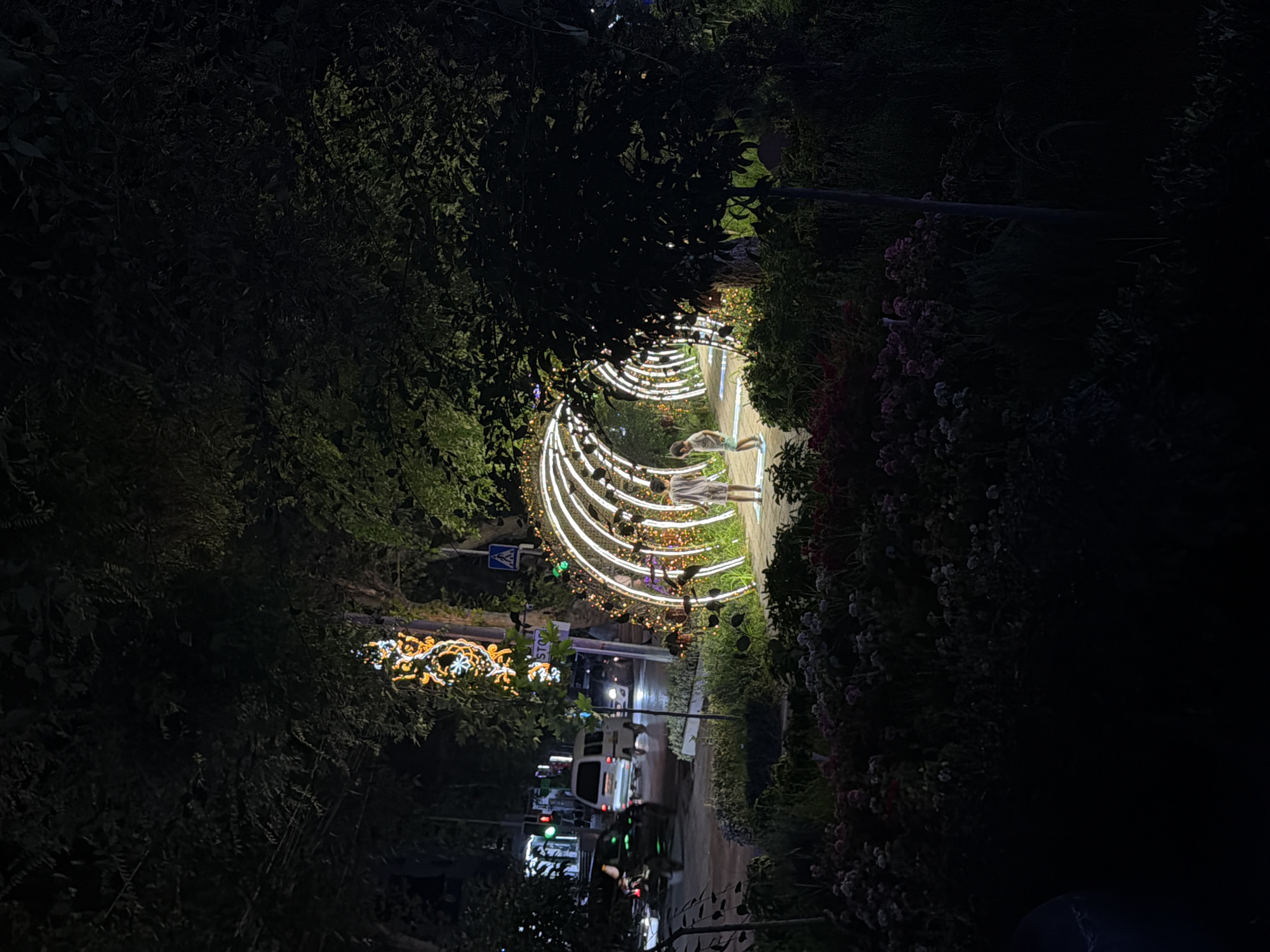 The image depicts a nighttime scene on a city street in Chirchik, Uzbekistan, likely a park or public area decorated with illuminated structures. In the foreground, a pathway is lined with flowering plants, mostly in shades of pink and red, partially obscured by darkness. Beyond the pathway, a prominent illuminated tunnel-like structure, made of interconnected white arches and adorned with small yellow lights, curves into the distance. Two children, one appearing older and wearing a white shirt and pants, and a younger child in a light-colored shirt and shorts, are visible walking through this illuminated tunnel.
To the left of the tunnel, a street is visible with traffic, including a white van and other vehicles. Traffic lights are illuminated, and streetlights cast a glow. A decorative light fixture, resembling a stylized tree or pillar with blue and yellow lights, is mounted on a pole beside the street. The background is dominated by dark trees and foliage, with the illuminated tunnel and street providing the primary light sources in the otherwise dark environment. The overall impression is of a festive, perhaps recreational, urban space at night.