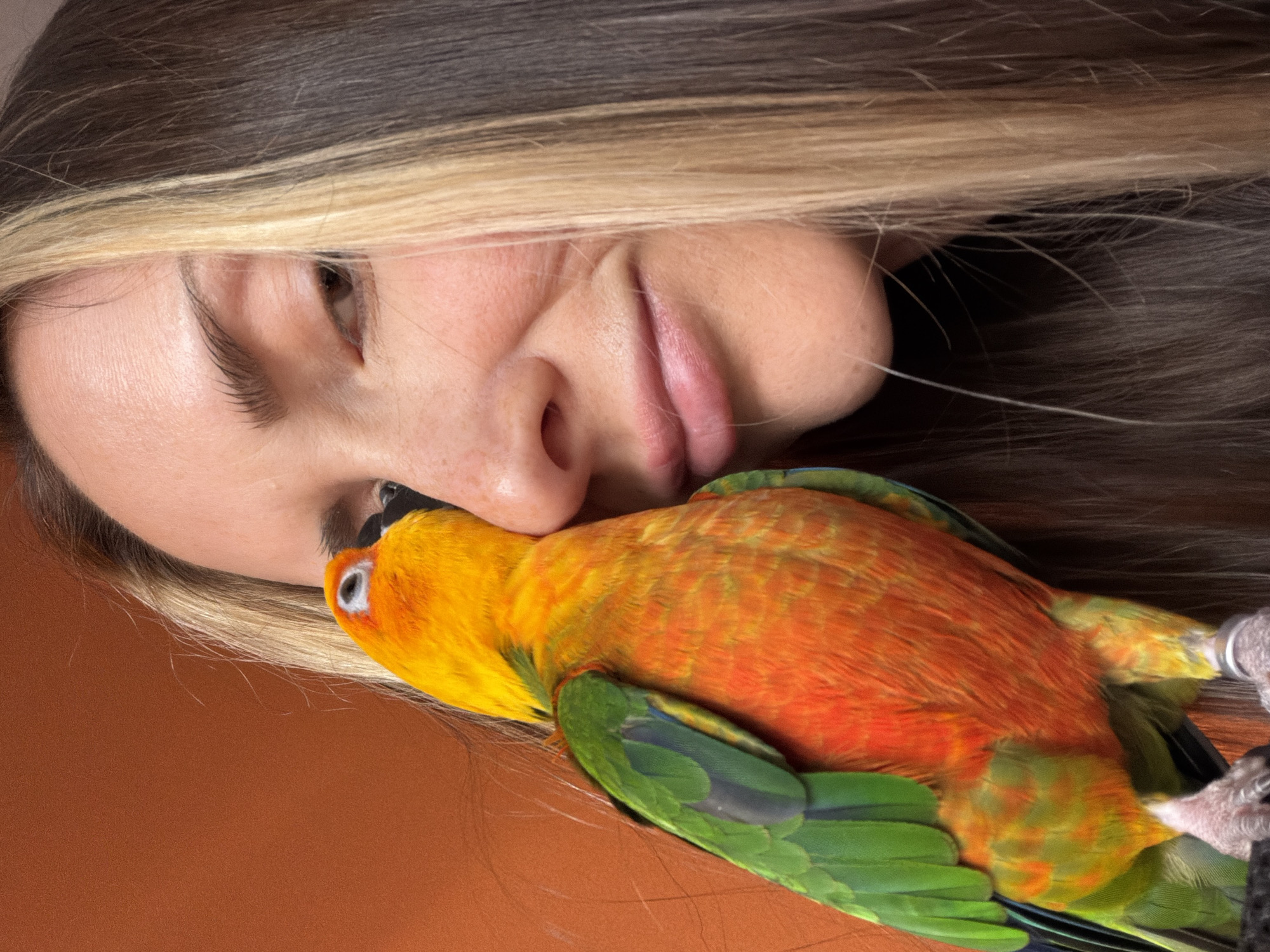 A close-up, intimate portrait captures a person with a vibrant Sun Conure parrot in an indoor setting. The person, appearing to be an adult female, has long brown hair with prominent blonde highlights. Her eyes are mostly closed, and her lips are slightly parted, suggesting a moment of relaxation or affection. Her skin appears smooth, and she has light makeup on her lips.
The brightly colored parrot, with its striking orange, yellow, and green feathers, is nestled closely to the person's face, specifically near her nose and cheek, appearing to nuzzle her. The bird has a dark beak and a distinctive white ring around its eye. A silver band is visible on one of the bird's legs, commonly used for identification.
The background behind the person's head is dark, blending with her hair, while the surface beneath the bird and the lower part of the person's face is a plain, solid reddish-brown color, possibly a cushion or blanket. The overall atmosphere conveys warmth, tranquility, and a strong bond between the person and the pet bird. No text is visible in the image. The location context provided is Khimki, Russia.