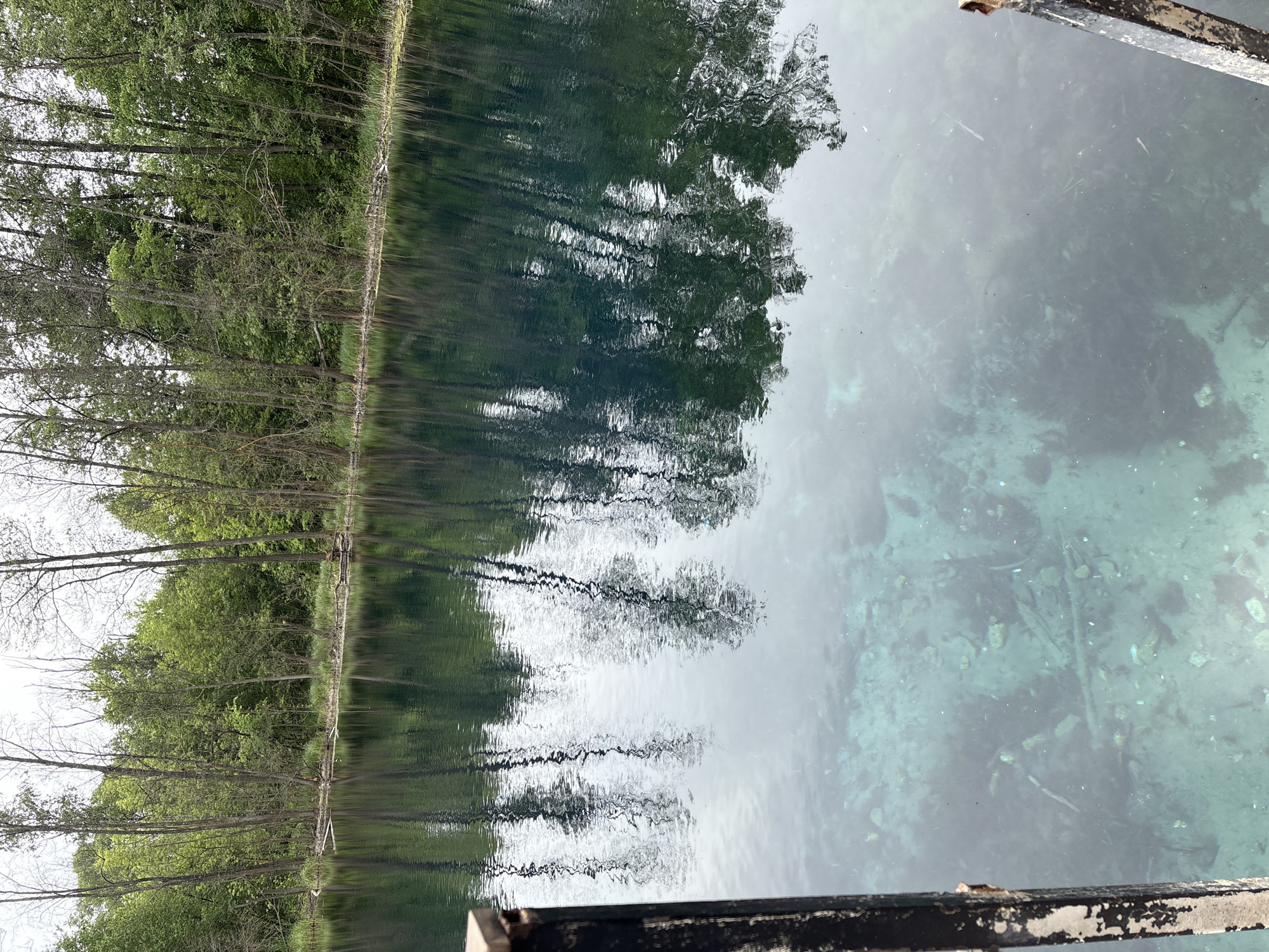 A natural spring or lake, identified as a "Goluboe Ozero" (Blue Lake) in Kazan, Russia, is depicted under an overcast sky. The image captures a body of water bordered by a dense line of deciduous trees.
The upper half of the water's surface exhibits reflections of the surrounding trees and the grey sky, manifesting as a pattern of dark green and light grey ripples. The lower half of the water demonstrates high transparency, revealing a light turquoise-blue lakebed. The visible lakebed contains numerous rocks, submerged branches, and scattered organic debris.
The background consists of a dense line of deciduous trees along the opposing shoreline. These trees display various shades of green foliage, consistent with a spring or early summer environment. A narrow band of light green grass and sparse vegetation borders the water's edge, where some fallen branches are partially submerged.
In the immediate foreground, dark, weathered structural components, likely remnants of a dock or railing, are visible on the left and bottom right sides of the frame. These components are dark grey to black, exhibiting visible texture and lighter markings indicative of wear or corrosion. The scene is illuminated by diffused light, characteristic of an overcast day. No individuals or animals are present in the image.