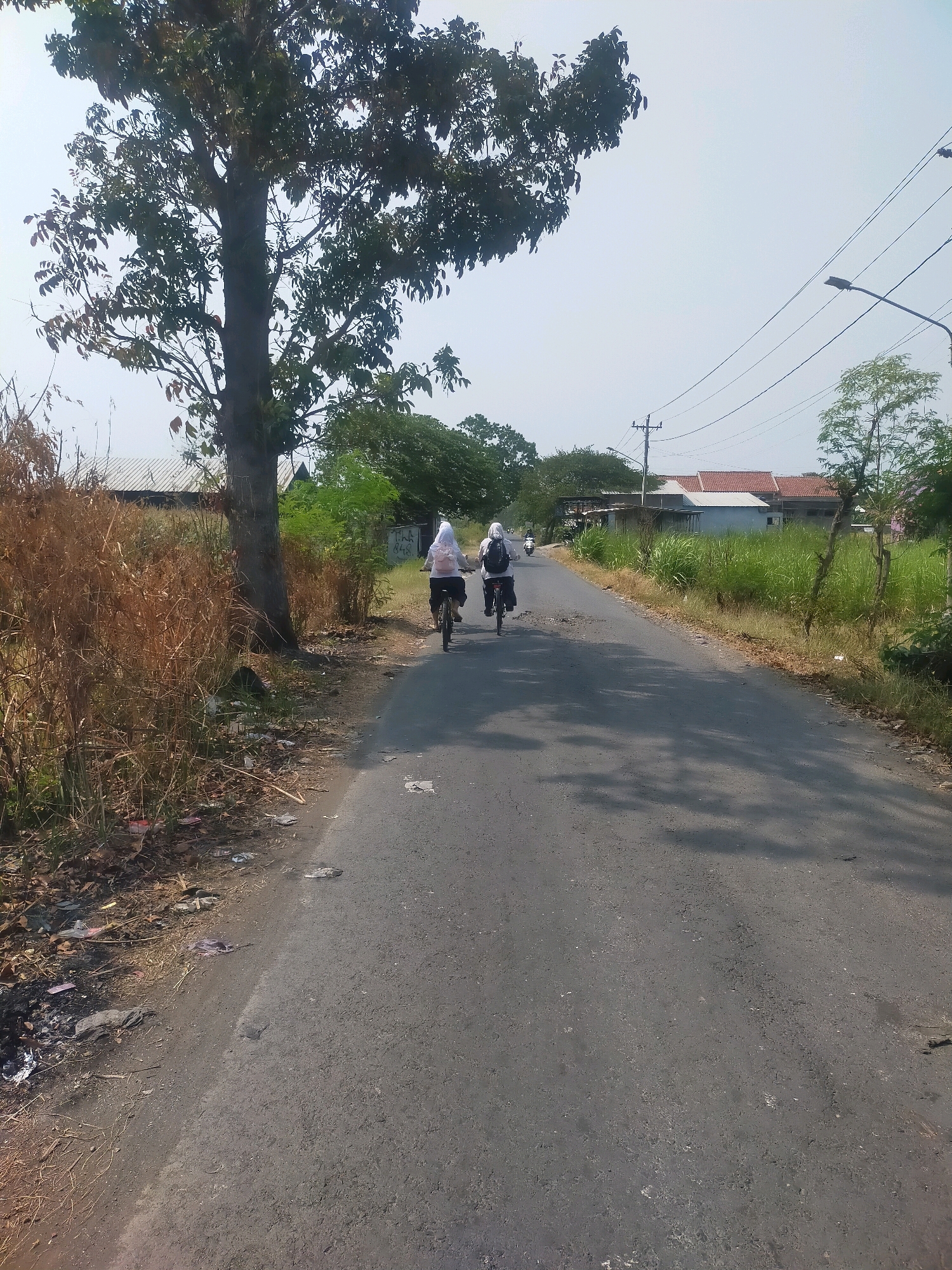 Two individuals, likely students, are cycling away from the camera on a paved road in Pengarasan, Indonesia. Both are wearing white headscarves and dark clothing, with one carrying a pink backpack. The road is lined with dry, tall grass and some scattered debris on the left side, and greener vegetation on the right. A large tree with dense foliage is prominent on the left, casting shadows on the road. In the background, there are houses with red-tiled roofs and utility poles with electrical wires. The sky is clear and bright, indicating a sunny day. The overall scene depicts a rural or semi-urban environment in Indonesia.