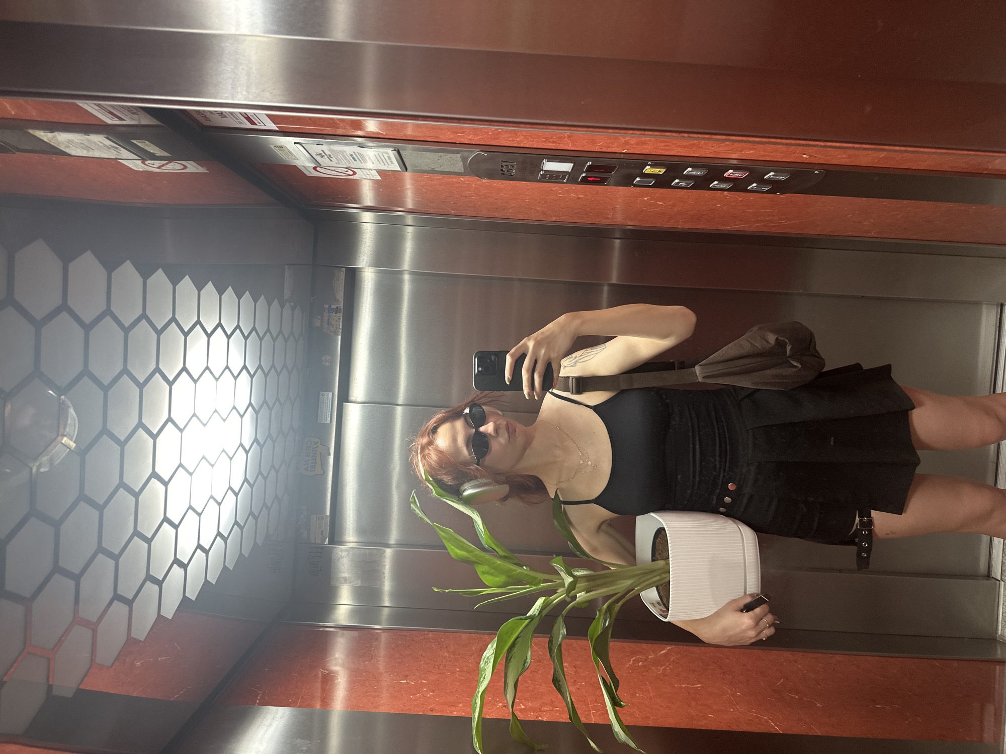The image depicts a person holding a potted plant, taking a selfie in an elevator. The elevator walls are stainless steel with a honeycomb pattern on the back wall, and there is a panel of elevator buttons at the top. The person is wearing sunglasses, a black tank top, and a black skirt. The plant is green and leafy, potted in a white container. The location is an elevator in Novi Sad, Serbia.
