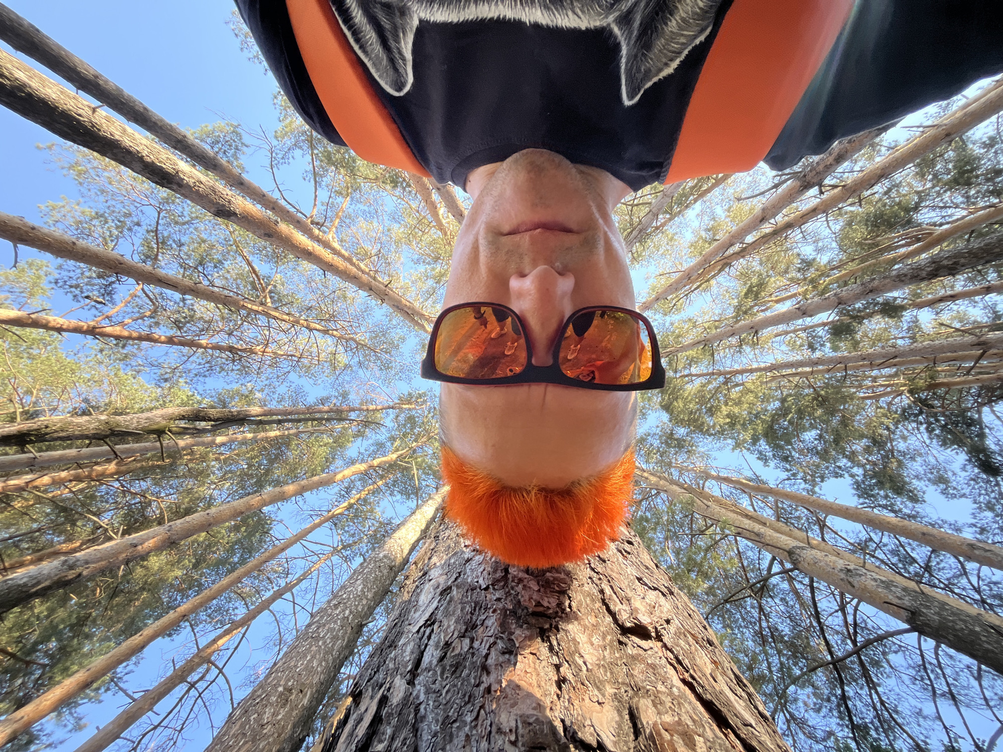 A low-angle, perspective shot of a person wearing sunglasses, with orange-dyed hair, standing in front of a tall tree, looking up at the canopy of trees. The person wears a black shirt with a possible animal print, and orange straps are visible on their shoulders. The sunglasses reflect the tree canopy. The background shows the sky visible through the network of tree branches. The tree bark is visible at the bottom of the frame. The location is in a forest in the city of Chaikovsky, Russia.