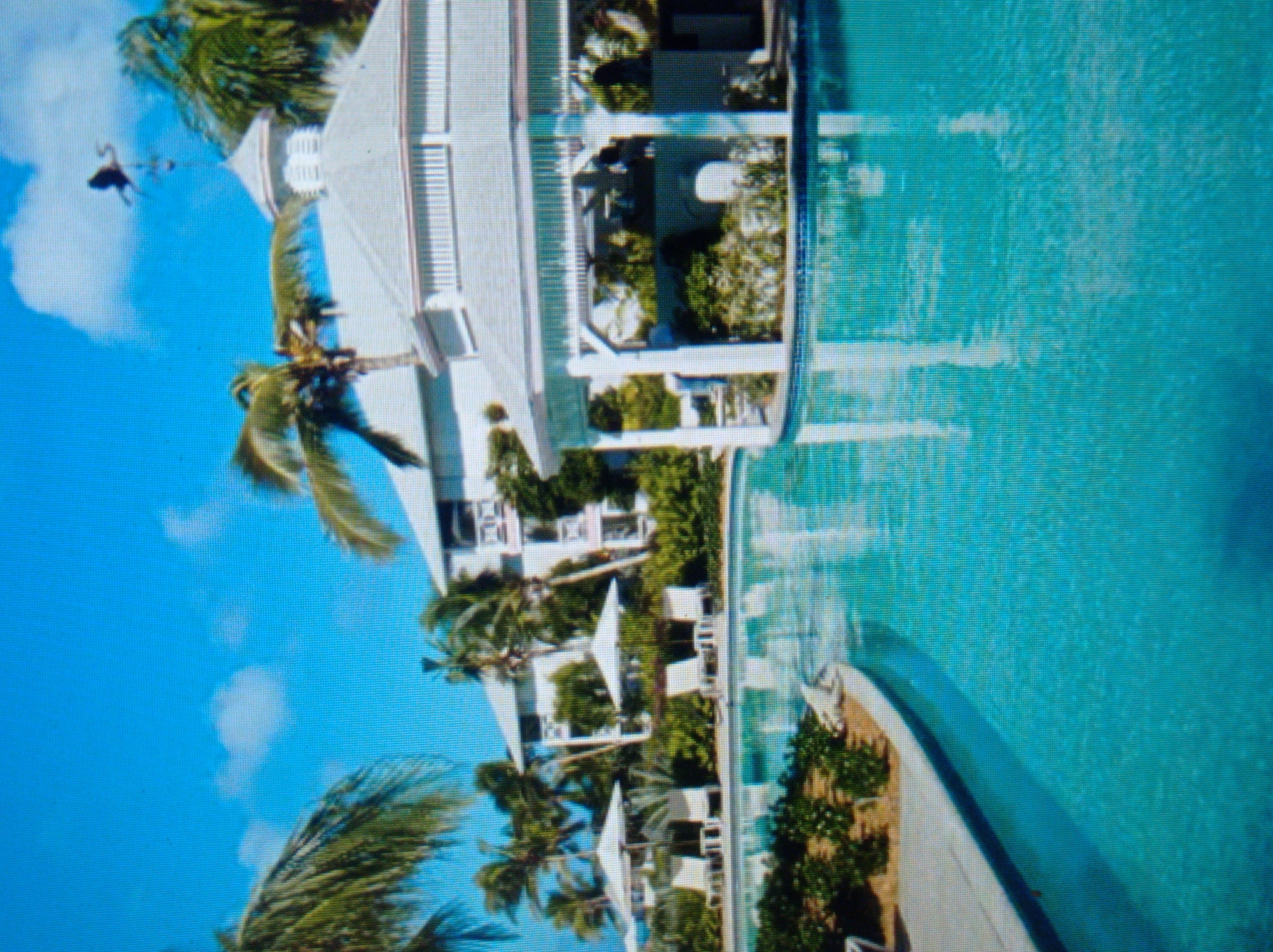 The image depicts a resort-style scene with a large swimming pool in the foreground. Beyond the pool, there is a white gazebo or open-air structure, followed by lush greenery and palm trees. In the background, a multi-story white building with balconies is visible, along with more palm trees and a bright blue sky with scattered clouds. A weather vane shaped like a bird is perched on top of a domed roof structure. This scene is not located in the city of Mukachevo, Ukraine, as that is a landlocked city with no proximity to such a resort setting.