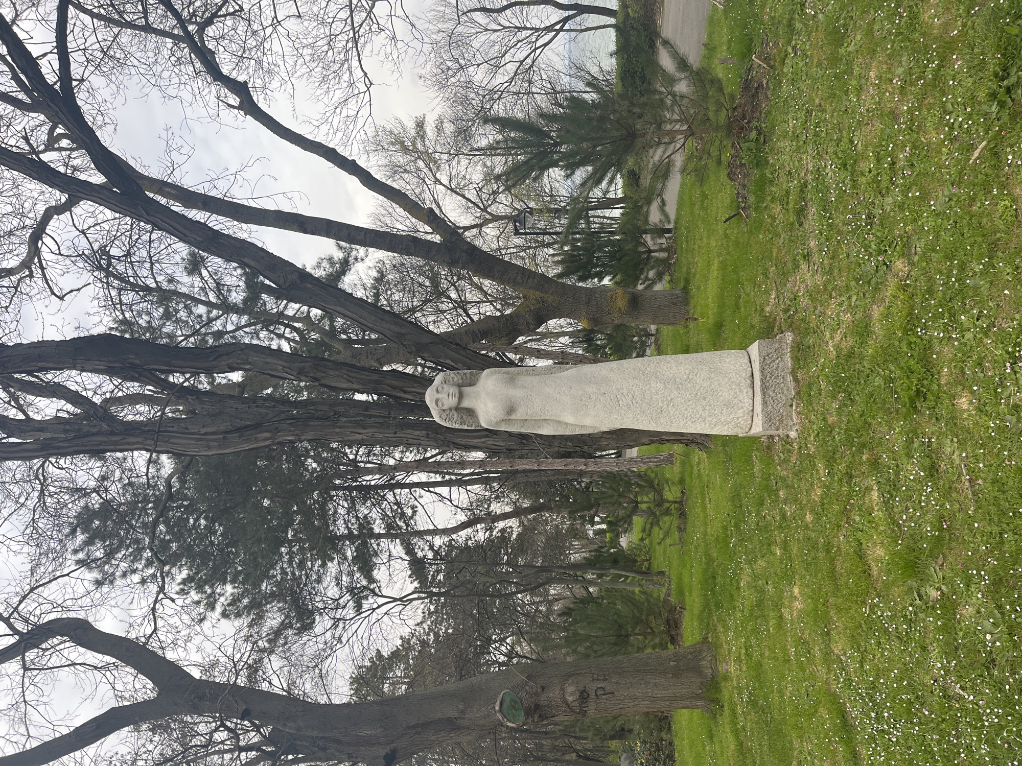 The image depicts a white, marble-like statue of a draped female figure with a serene face, possibly an angel or muse, standing on a stone base. It is positioned within a grassy area with scattered small white flowers, under the shade of several mature trees. The trees are mostly bare, suggesting it is late autumn or early spring. A paved path is visible in the background, along with other trees and vegetation. Based on the characteristics of the landscape, this scene is located in the Sea Garden of Burgas, Bulgaria.