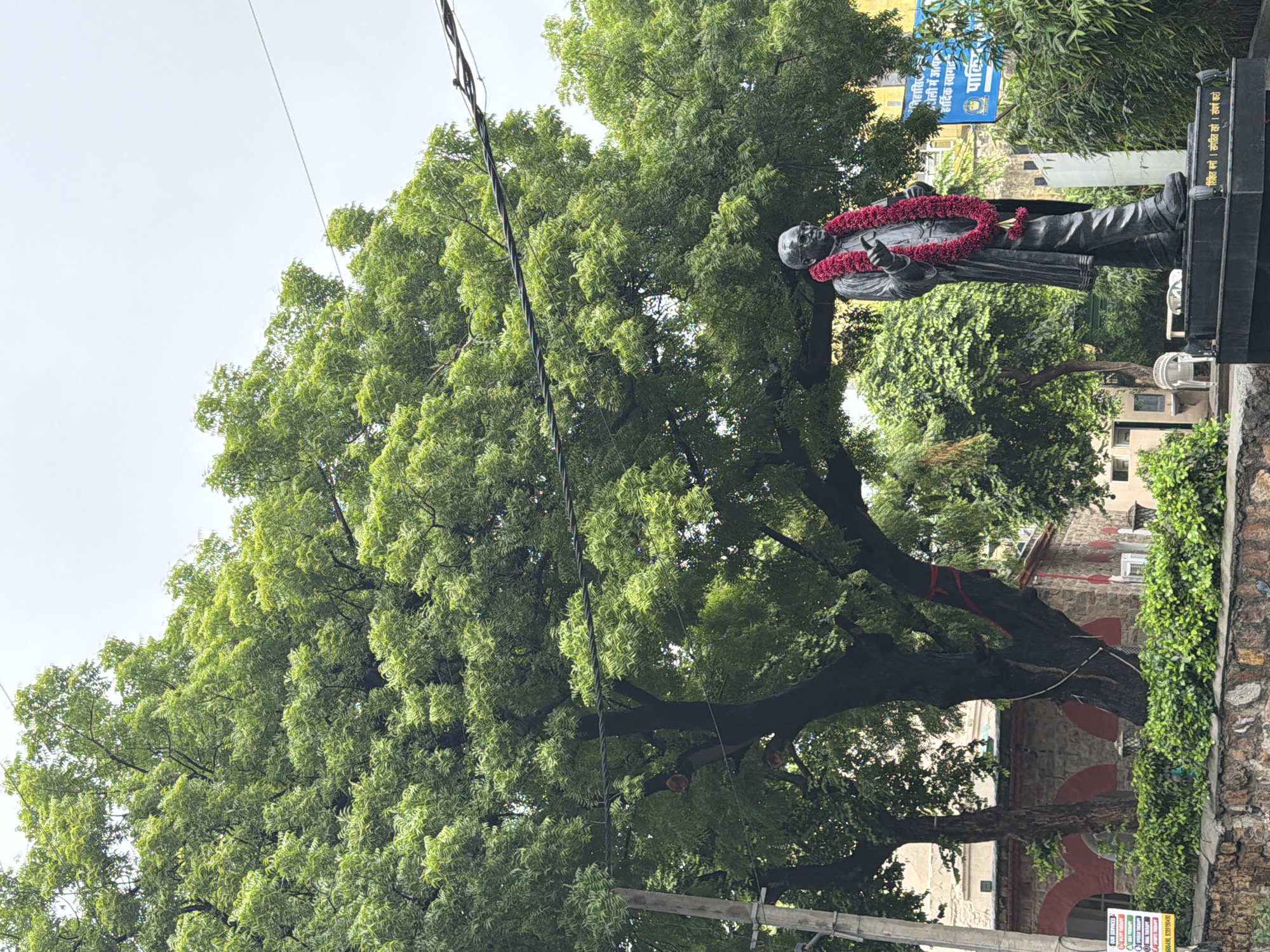 This is a medium shot photograph of a full-body bronze statue of a man wearing glasses and a garland of red flowers. The statue stands on a black pedestal with inscriptions in Hindi. Behind the statue, a large, leafy green tree dominates the frame. In the background, there is a stone building with arched windows and a blue sign with Hindi text. The scene appears to be outdoors in a public space in Delhi, India, possibly a park or a government building's grounds, given the presence of the statue and the building's architecture. The sky is overcast, suggesting a cloudy day. To the left of the statue, a utility pole is visible.