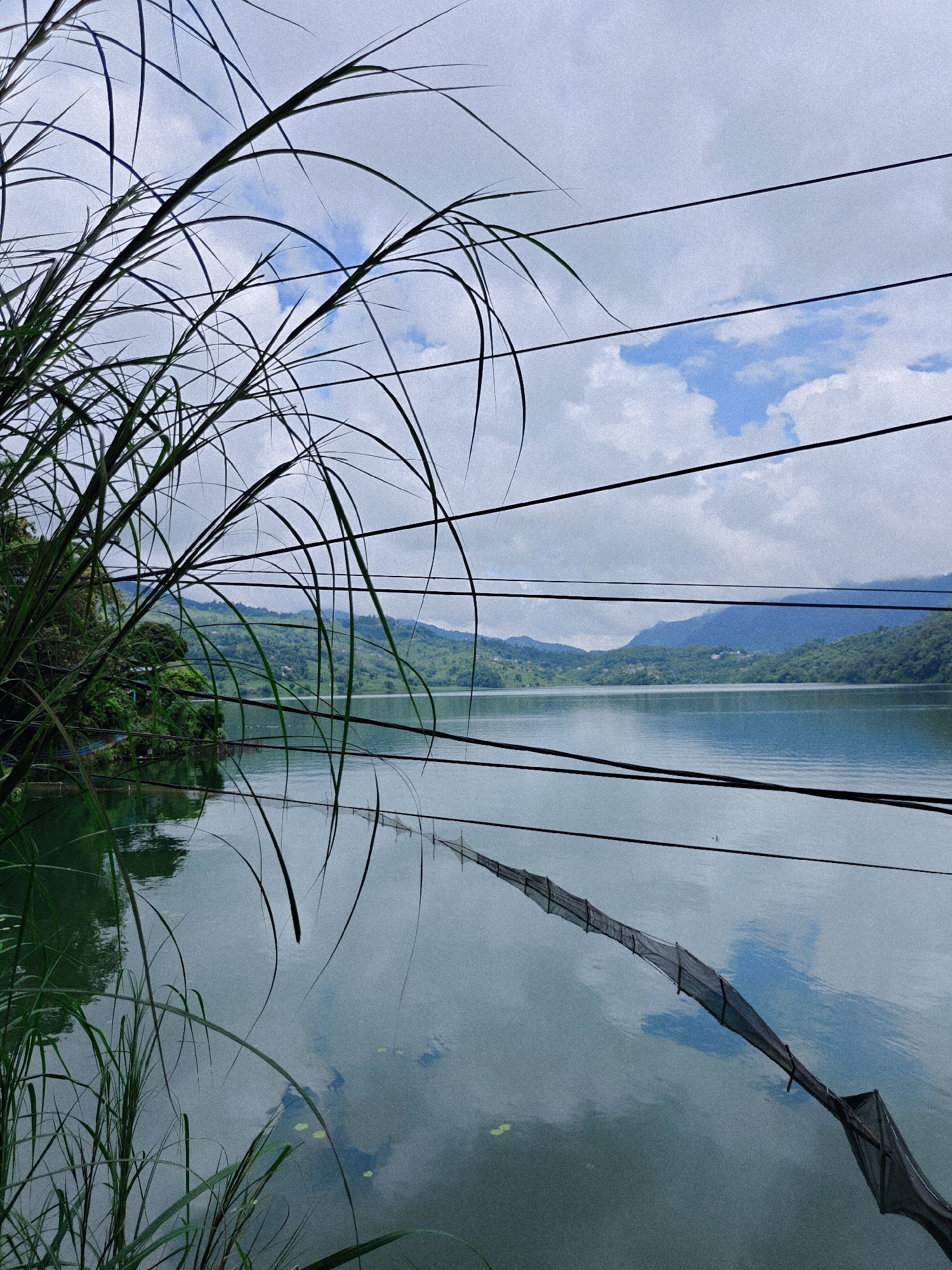 The image depicts a serene view of Phewa Lake in Pokhara, Nepal, on a cloudy day. In the foreground, tall, slender green grass blades arch gracefully, their silhouettes stark against the overcast sky. Several black wires crisscross the frame horizontally, creating a sense of depth and framing the landscape beyond. The lake itself, a vast expanse of calm, reflective water, mirrors the cloudy sky and the verdant, rolling hills that form the backdrop. These hills, densely covered in lush green vegetation, rise gently from the water's edge, their contours softened by the diffused light. The water's surface is broken by a long, dark fishing net stretched diagonally across a section of the lake, its mesh partially submerged. The overall atmosphere is peaceful and tranquil, characteristic of Pokhara's natural beauty. There are no people visible in the scene.