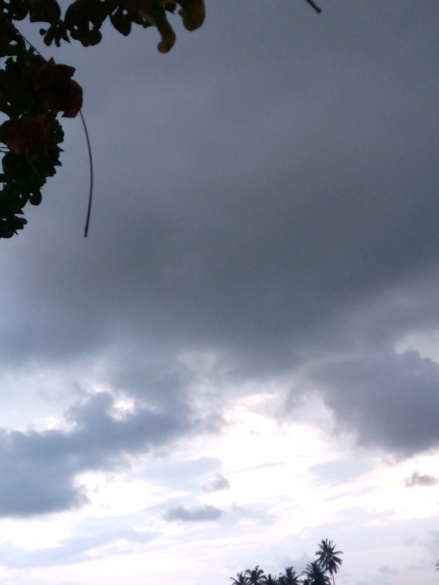 The image shows a cloudy sky with some tree foliage visible in the upper left corner. The bottom of the image shows the tops of several palm trees against the sky. There are no people or specific landmarks visible that would indicate the location in Kutaglumpang, Indonesia. The overall impression is a cloudy day, possibly before or during rain, with a tropical setting suggested by the palm trees.