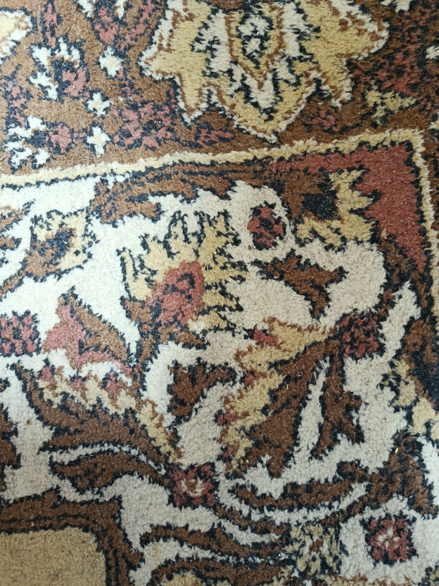 The image is a close-up, overhead shot of a section of a carpet. The carpet features an intricate, traditional design with a color palette consisting of cream, various shades of brown, rust-red, and black. The pattern appears to be floral or paisley-like, with swirling motifs and repeated elements that suggest a Persian or Central Asian influence. The texture of the carpet is visible, indicating a soft, possibly woven material. There are no people or discernible objects other than the carpet itself within the frame. The lighting is diffused, suggesting an indoor environment. The specific location within Tashkent, Uzbekistan, cannot be determined from the image alone, as it focuses solely on the carpet's detail.