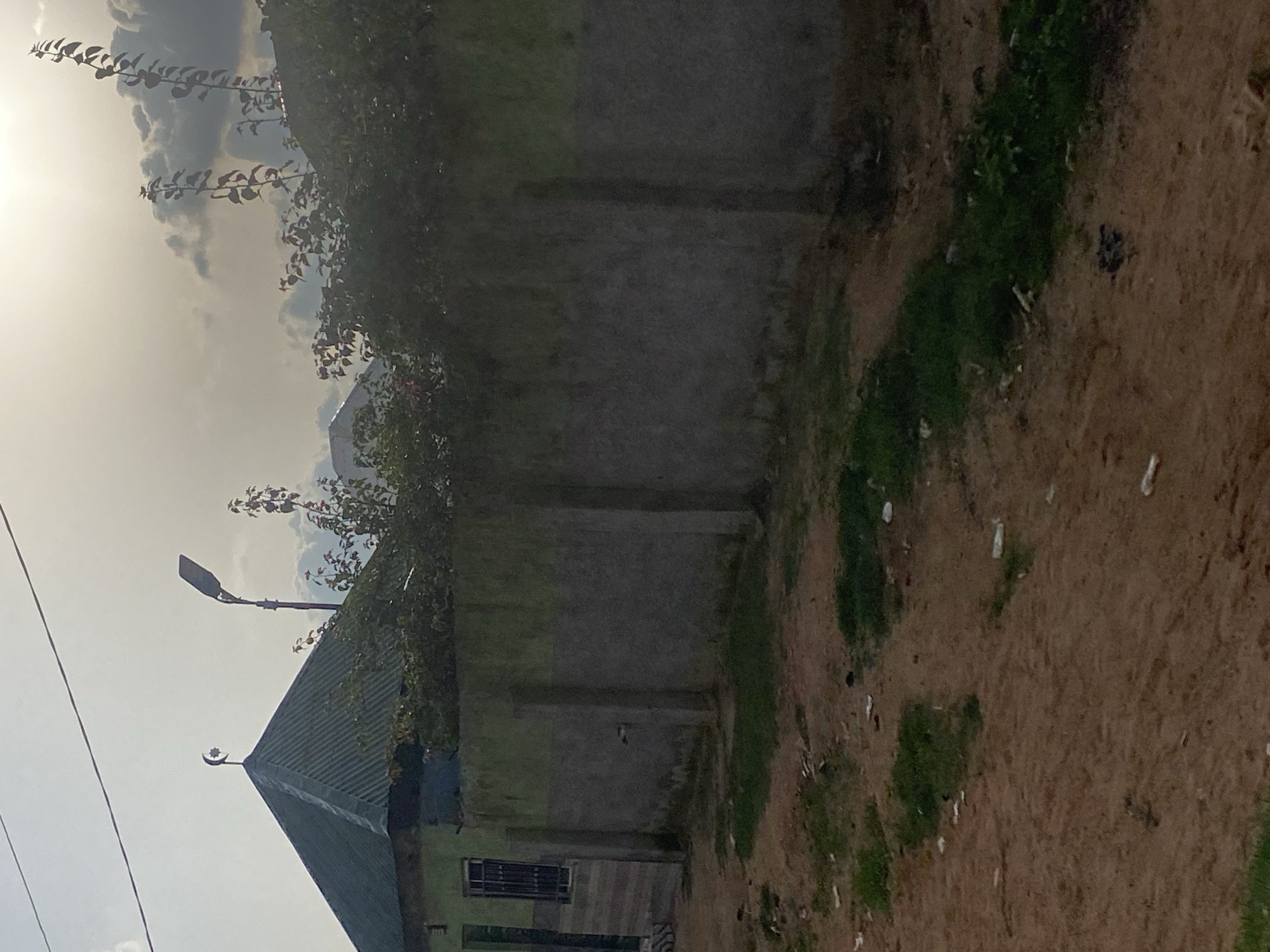 This image depicts an outdoor scene, likely in a somewhat rural or underdeveloped area. The primary subjects are a building with a green, pitched roof, a concrete wall, and a patch of sandy ground with sparse vegetation and scattered debris. A street lamp is mounted on a pole to the left of the building's roof. A crescent moon and star emblem is visible on the peak of the roof. The building has at least one window with a barred grate.
The scene is illuminated by what appears to be natural light, suggesting it is daytime, likely late afternoon or early morning given the soft quality of the light and the presence of clouds. The sky is cloudy, with a bright area on the left suggesting the sun is behind the clouds. Some branches of a leafy plant extend into the frame from the upper left.
There is no discernible activity or event taking place; the scene appears static. Notable details include the architectural style of the building with its pointed roof and the presence of the religious symbol. The ground is a mix of sand and some patches of greener vegetation, with small white objects scattered across it, possibly litter. The overall impression is one of a simple, everyday setting. No text is visible in the image.