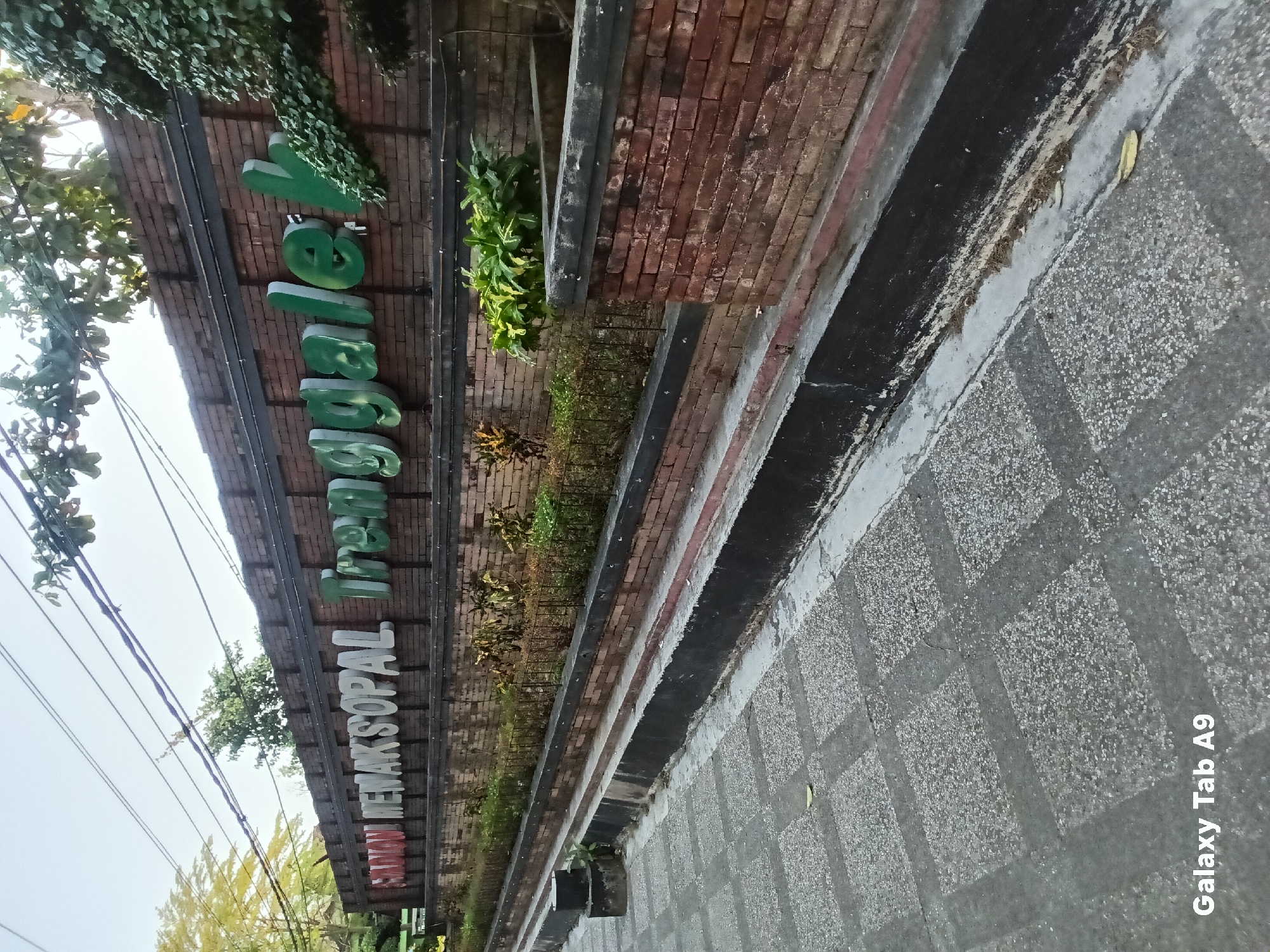 An outdoor, ground-level, eye-level shot shows a brick wall with large, raised, white and green lettering that reads "WAYANG MENAK SOPAL TRENGGALEH" in Kelutan, Indonesia. To the left of the wall, there is a street with square paving stones and a dark, black channel for water drainage running alongside the wall. The wall has a darker brick border at the top and bottom. In front of the wall is a garden bed with small, decorative plants and bushes. There are some trees and foliage visible in the background. The sky is overcast and bright. The bottom right corner of the image displays "Galaxy Tab A9" in white text.