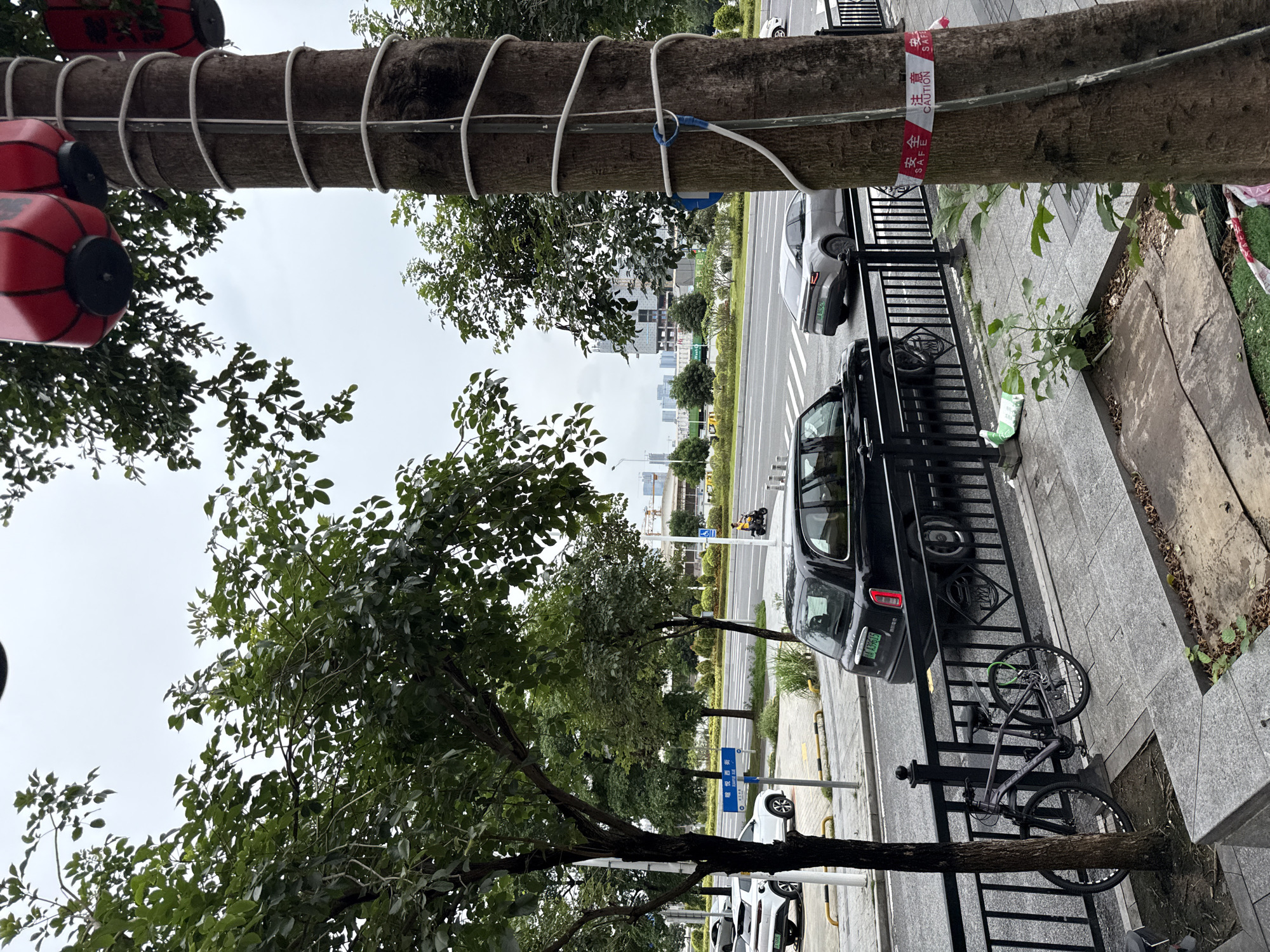 The image depicts a street scene in Haizhu District, China. In the foreground, a large tree wrapped with white rope and decorated with red lanterns stands on the right. A black car is parked on the left side of the road, with a bicycle leaning against a black metal fence in front of it. Beyond the fence, a black SUV is driving away from the camera. Across the street, a grey car is also driving away. In the background, buildings and trees are visible under an overcast sky. A person on a scooter is seen in the distance on the road. The overall environment suggests an urban setting with a mix of vehicular traffic and greenery.