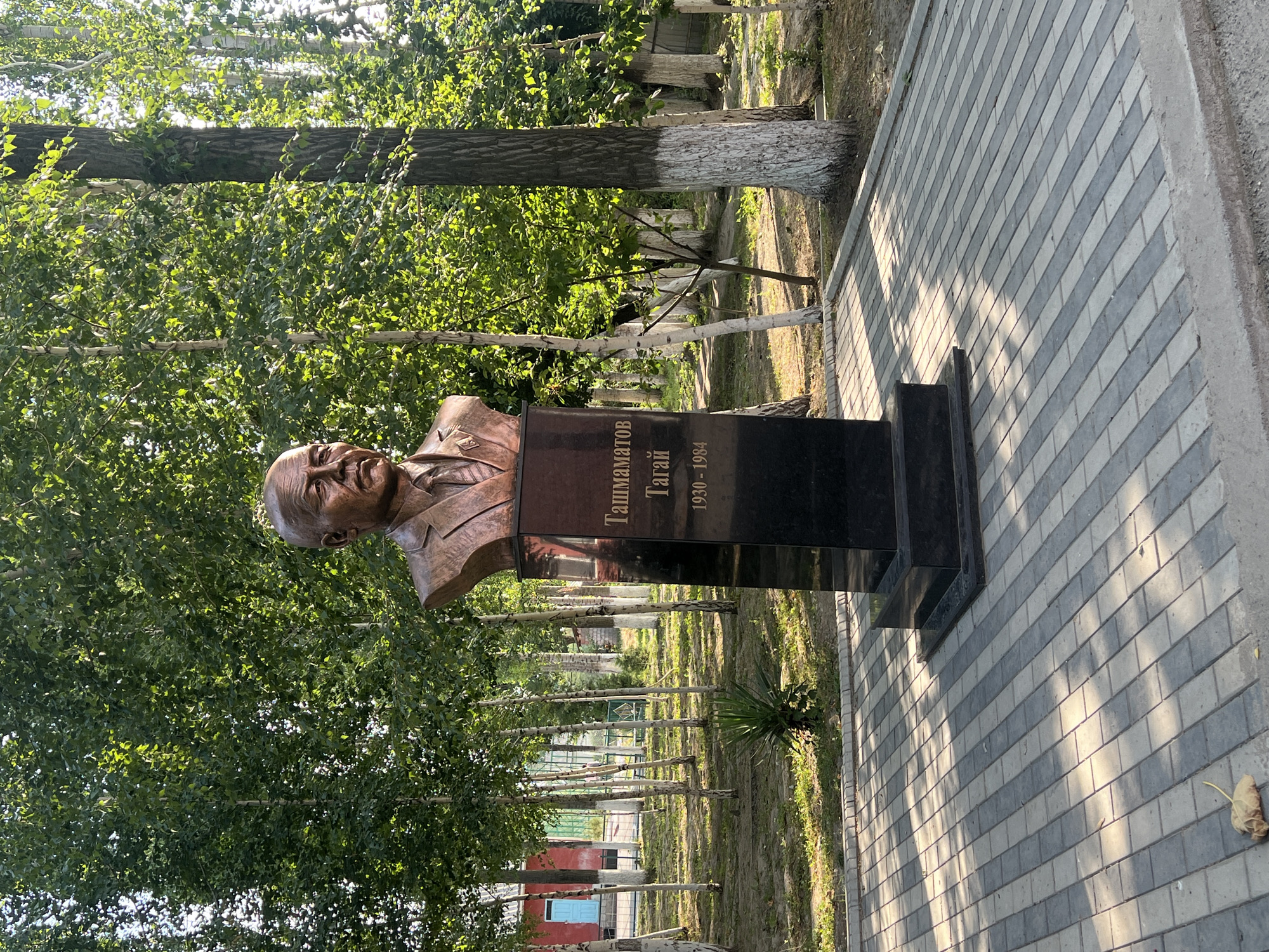 The image shows a bronze bust of a man on a black granite pedestal. The bust is placed in an outdoor setting with a paved walkway in the foreground. The walkway is made of light and dark gray rectangular pavers arranged in a basketweave pattern. Sunlight casts shadows across the walkway. Behind the bust, there is a grassy area with several slender trees with white bark and green foliage. In the background, there are more trees, some with white-painted trunks. To the left of the bust, a small, spiky green plant is visible in the grass. Further in the background, a red building with a blue door can be seen. The inscription on the pedestal reads "Ташмамaтов Тагай 1930 - 1984". The scene appears to be in the city of Kara-Dıykan, Kyrgyzstan.