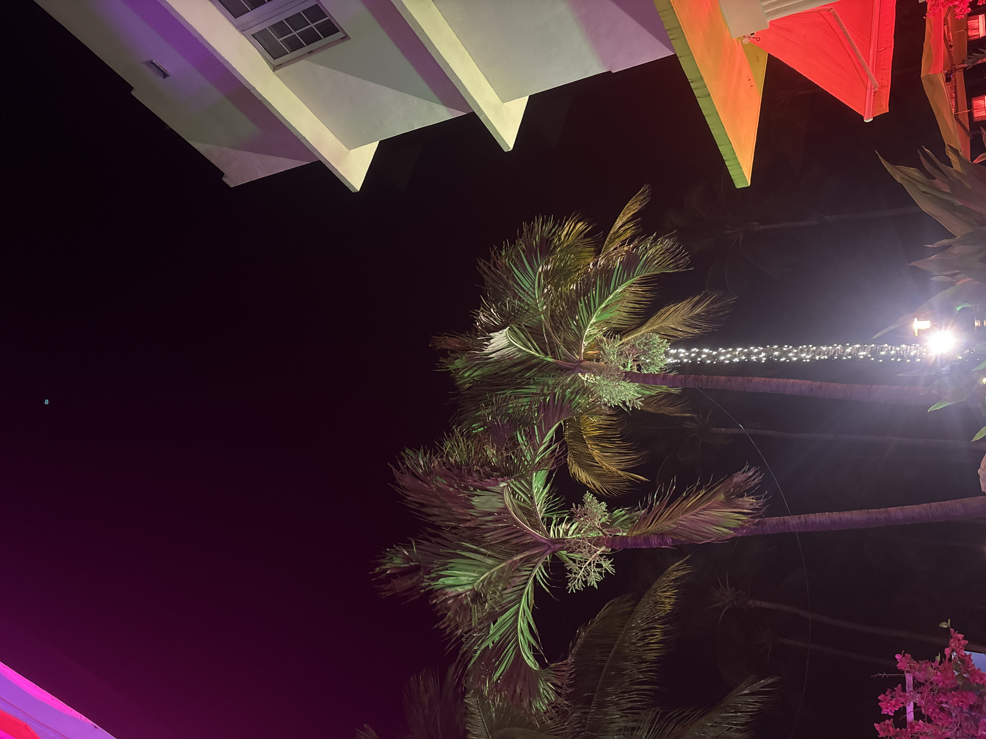 The image presents a vibrant, low-angle view of a nighttime scene, looking upwards towards buildings and palm trees in what appears to be Miami Beach. The dark sky dominates the background, indicating it is late evening or night.
In the upper portion of the frame (when viewed correctly), a building with angular, geometric architecture is partially visible. It is illuminated with striking accent lighting, casting hues of purple and pale green onto its surfaces. A window with a white grid frame can be seen on this structure.
Dominating the mid-ground are several tall palm trees, their fronds brightly lit from below with green and golden lights, creating a luminous contrast against the dark sky. The textures of the palm fronds are clearly visible due to this illumination. A string of white fairy lights stretches horizontally across the mid-distance, adding a festive glow to the scene.
Towards the right side of the image, brightly colored awnings or decorative fabric elements, primarily red and yellow, are visible, suggesting another nearby structure or outdoor setting. A deep magenta-purple light source or reflection emanates from the lower left, contributing to the overall lively and colorful ambiance.
No people are visible in the frame, and there is no discernible text. The combination of illuminated architecture, lush palm trees, and decorative lighting strongly evokes the energetic and tropical atmosphere characteristic of a resort or entertainment district in Miami Beach. The weather appears clear and calm.