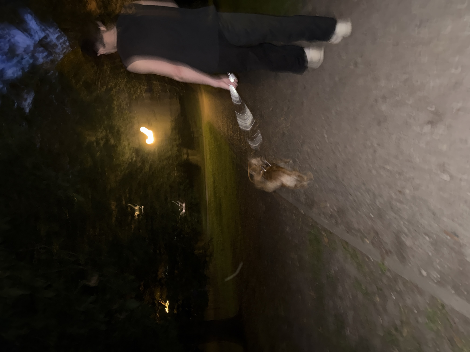 A person, appearing to be male, walks their dog on a path at night. The person is wearing a black sleeveless shirt and black pants, with white sneakers. They are holding a leash attached to a small to medium-sized dog that is light brown in color. The dog is walking in front of the person. The path is made of dirt and gravel, with some grass visible on the sides. In the background, there are trees and some blurry lights. The overall lighting suggests it is dark, with artificial lights providing illumination. The image is blurry, indicating motion blur.
