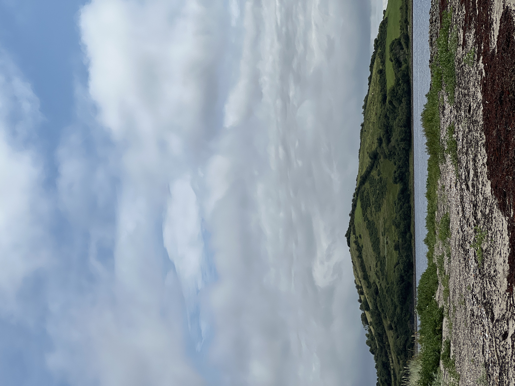 The image depicts a coastal landscape with a verdant, rolling hill as the dominant natural feature. The hill is covered in lush green grass and interspersed with darker green patches of trees and shrubs. A body of water, likely a bay or estuary, lies at the base of the hill, reflecting the muted light of the sky. The foreground consists of a beach or shoreline covered with sand, pebbles, and dried seaweed, suggesting a natural, undeveloped area. The sky above is a mix of blue and white clouds, with some areas appearing overcast, hinting at dynamic weather conditions. There are no people or man-made structures visible in the image, emphasizing the natural and serene quality of the scene. The location is identified as Dunuisce, Ireland.