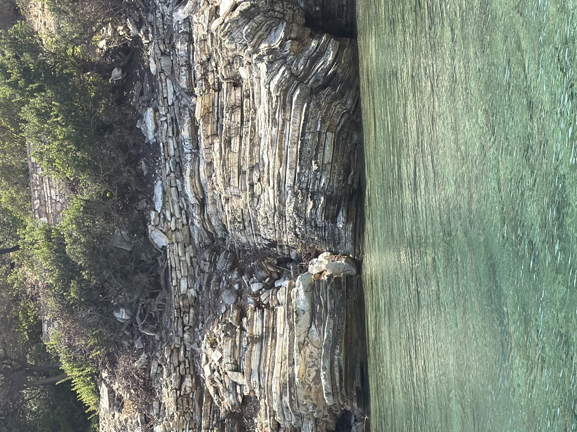 A medium shot captures a rugged, layered rock formation rising from the clear, greenish waters of the Ionian Sea in the Municipal Unit of Kastos, Greece. The rock face, composed of horizontal strata of light-colored stone, exhibits significant erosion and appears ancient. Green, leafy vegetation grows densely along the top of the rock formation, with exposed branches and dry brush scattered amongst the rocks. The water in the foreground is calm, reflecting the sunlight and revealing its shallow depth. No people or man-made structures are visible.