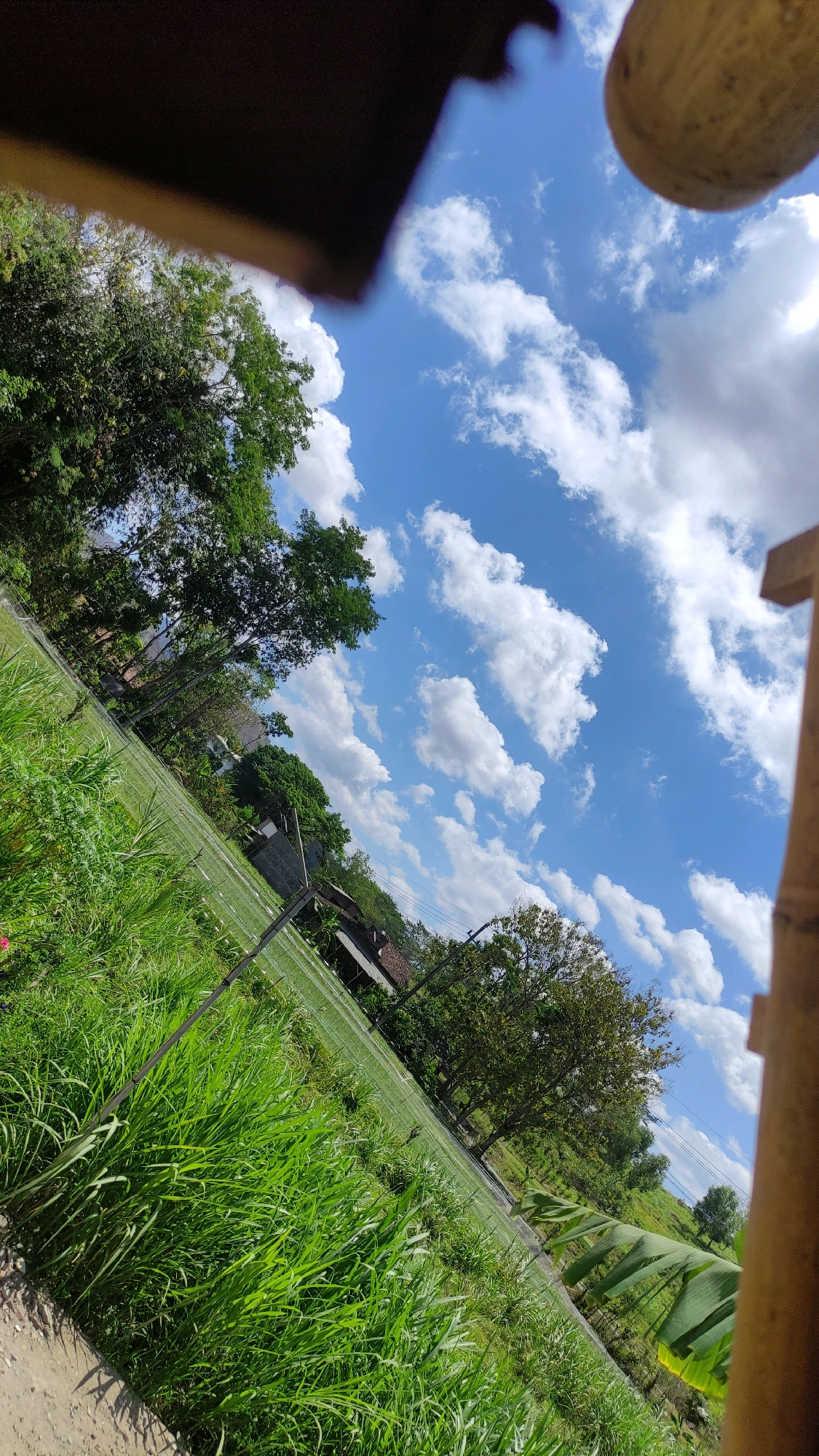 The image depicts an outdoor scene with a strong diagonal composition, likely taken in or around Tiudan, Indonesia, given the visual cues of lush vegetation and tropical flora like banana leaves. The foreground is dominated by tall, vibrant green grass. In the middle ground, there's a field or pathway bordered by what appears to be a low fence or netting, with a few scattered houses and trees visible further back. The background is a bright blue sky filled with fluffy white cumulus clouds, suggesting a clear and sunny day. The image is framed by a dark brown, possibly wooden, object in the top left corner and a lighter, cylindrical, tan-colored object on the right, both of which are out of focus. The overall impression is one of a rural or semi-rural setting with abundant natural elements and a sense of open space.