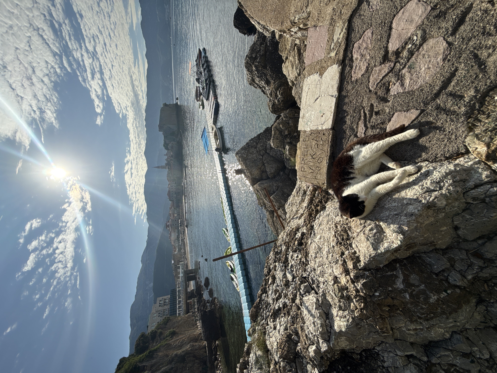 The image captures a sunlit coastal scene in Budva, Montenegro, looking towards the Old Town under a clear blue sky with scattered clouds. In the immediate foreground, a black and white cat is stretched out and resting on a large, flat rock formation on a rocky shoreline. To the cat's right, a paved path is partially visible. The midground features calm, sun-dappled sea. On the left, a light blue modular floating dock extends into the water, with three kayaks (two green, one white) docked alongside it. Further right, another floating dock system accommodates several small motorboats and jet skis, with two boats featuring blue and reddish-orange canopies, respectively. To the far left, a multi-story building with multiple terraces is integrated into a vegetated cliff face. In the center, the historic Budva Old Town is visible, characterized by traditional architecture, a prominent church steeple, and a large stone fortress jutting into the sea. A small beach is present in front of the town. The background consists of a range of rugged mountains spanning the horizon. A bright, low-angle sun, positioned in the upper right quadrant, produces significant lens flare and streaking light across the sky and water.